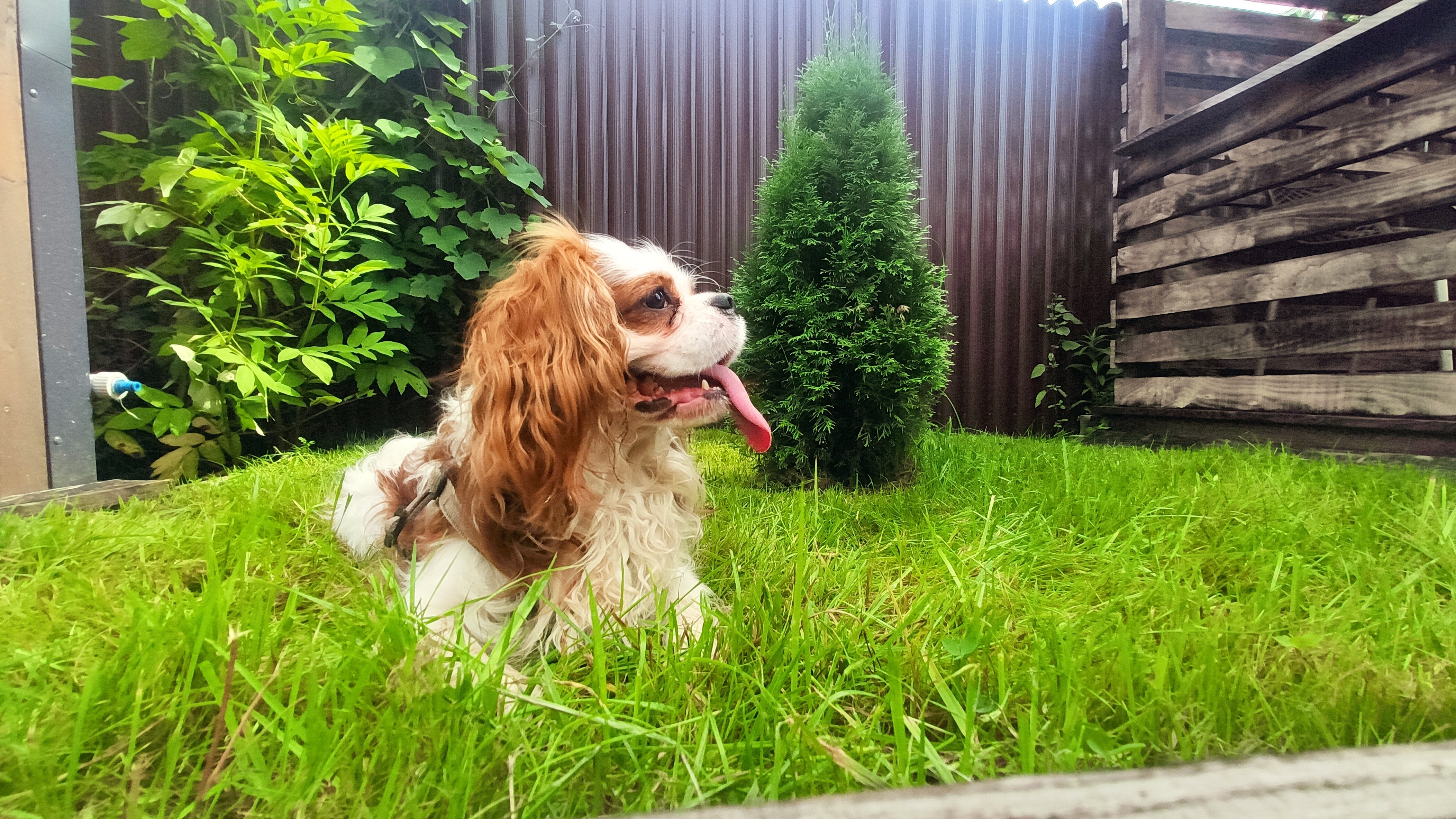 Фото Атмосфера