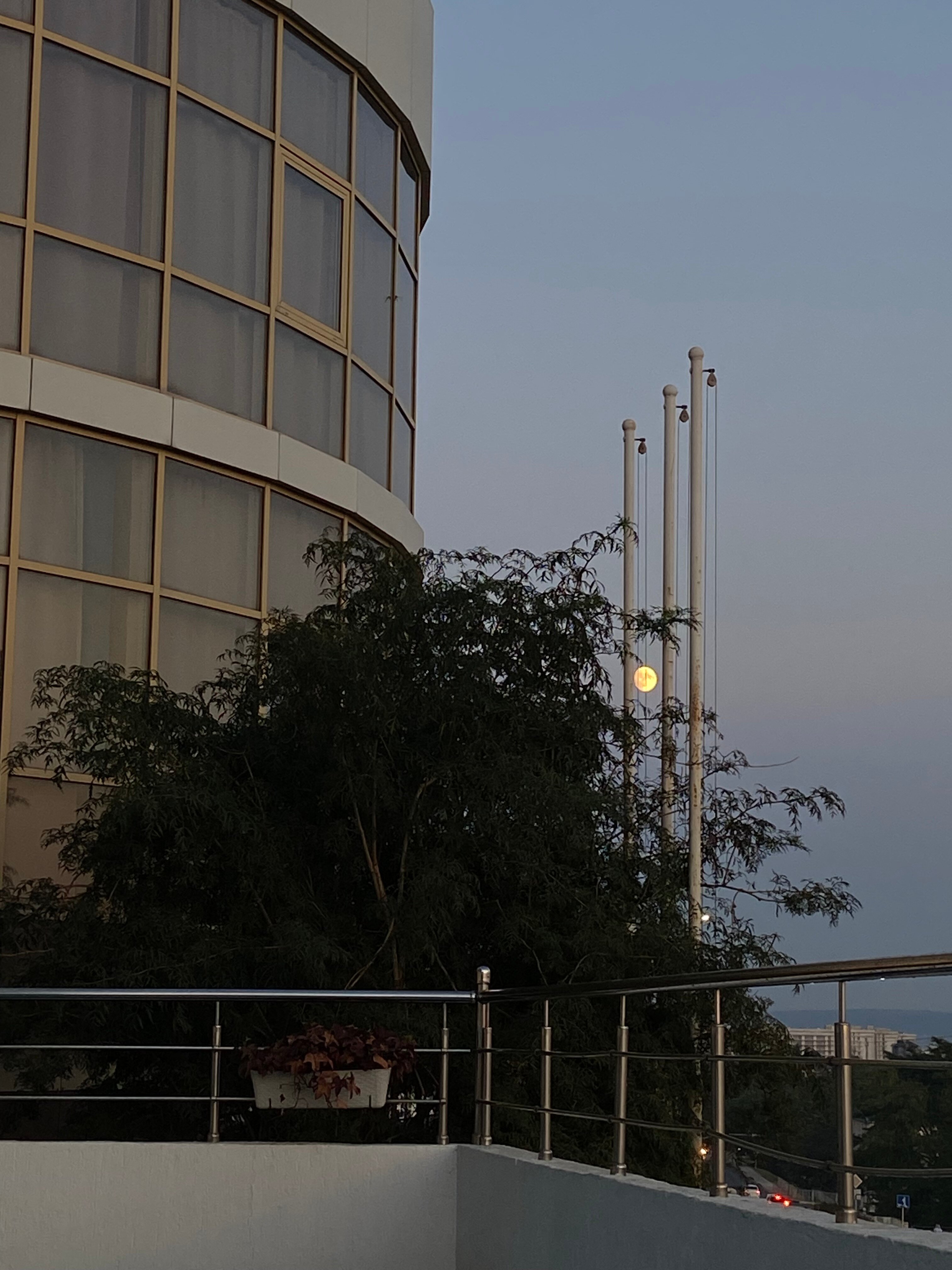 Фото Прованс