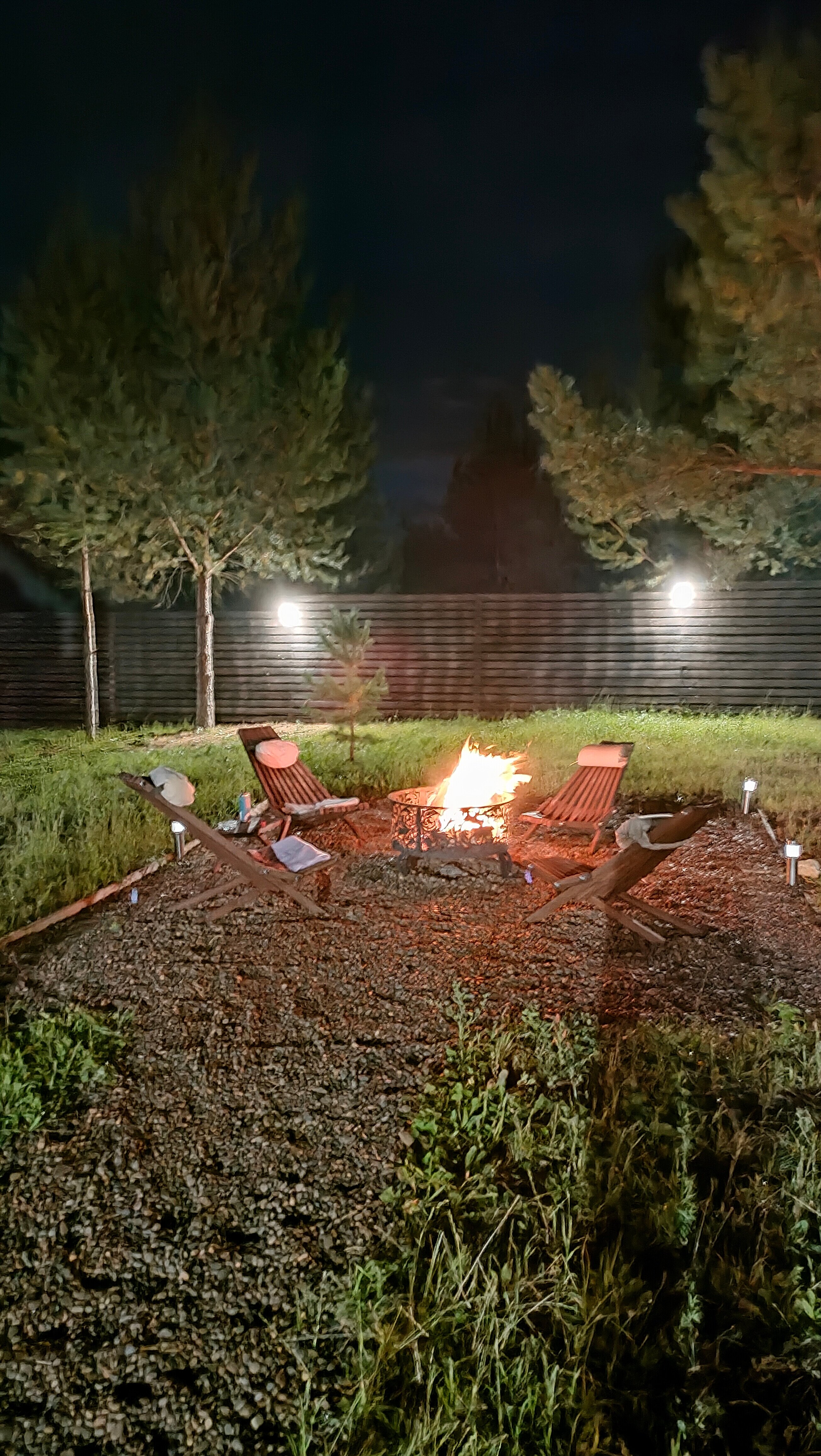 Фото На опушке