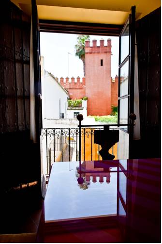 Фото Apartamentos Suites Santa Cruz