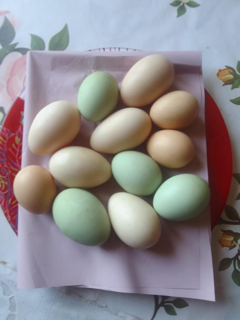 Фото Морошка