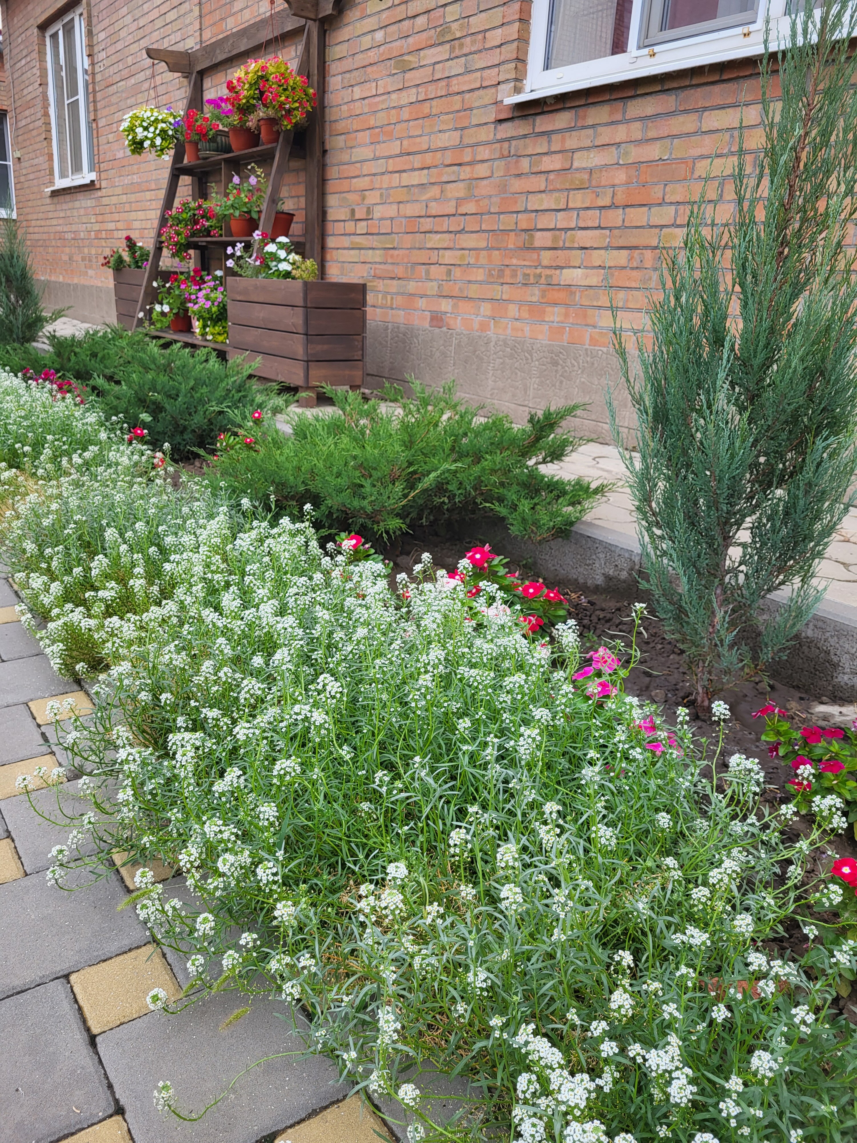 Фото Крыжовник