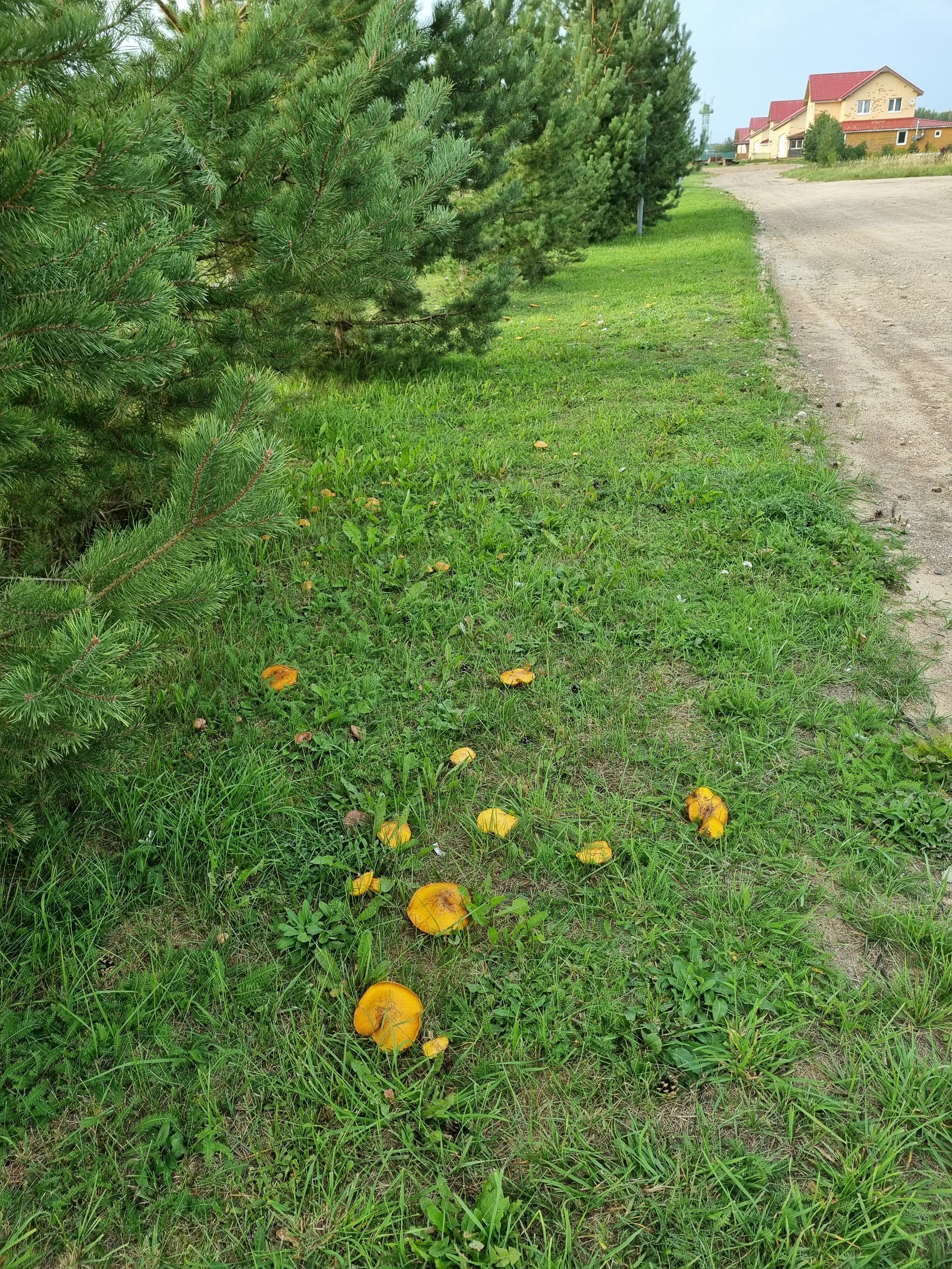 Фото Загородный клуб Устье