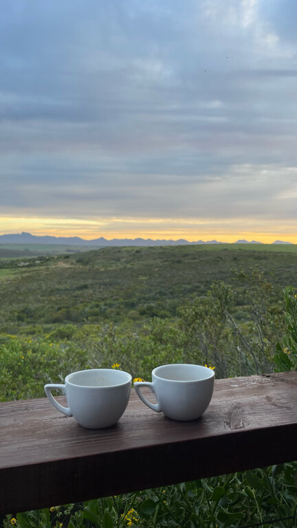 Фото Garden Route Game Lodge