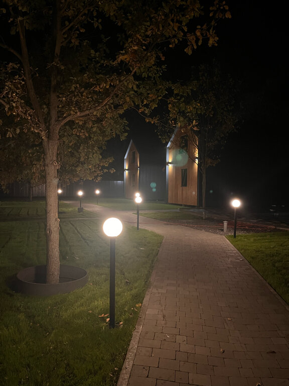 Фото Природа