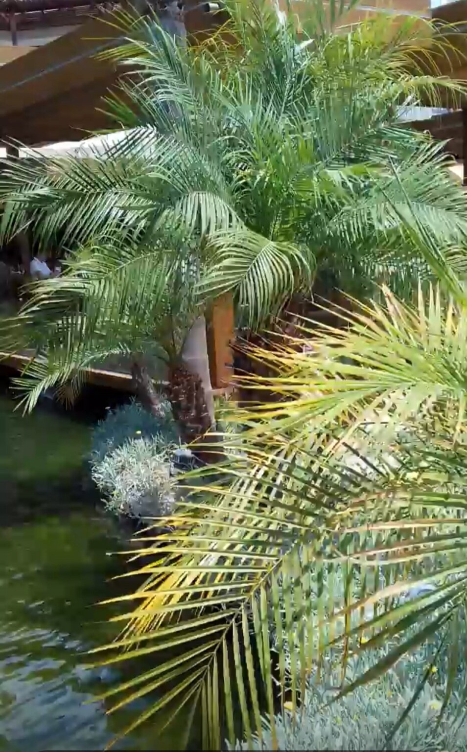 Фото Four Seasons Hotel