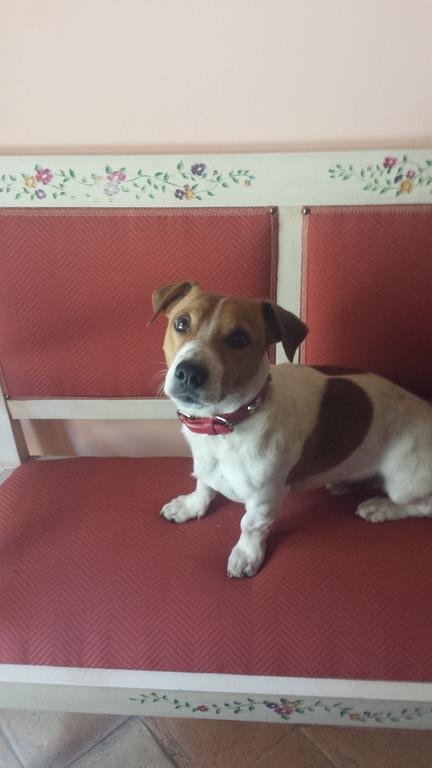 Фото Borgo Di Celle