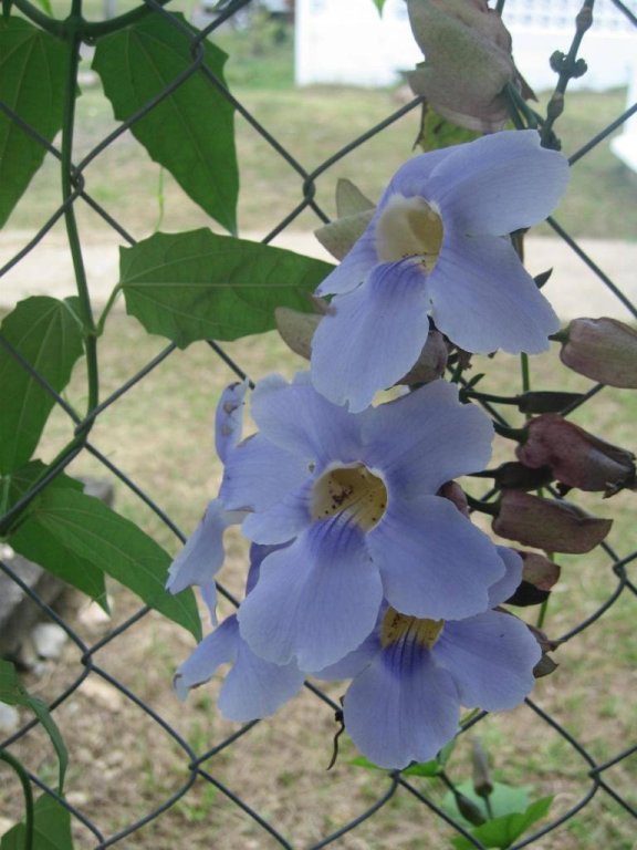 Фото El Rey Hotel