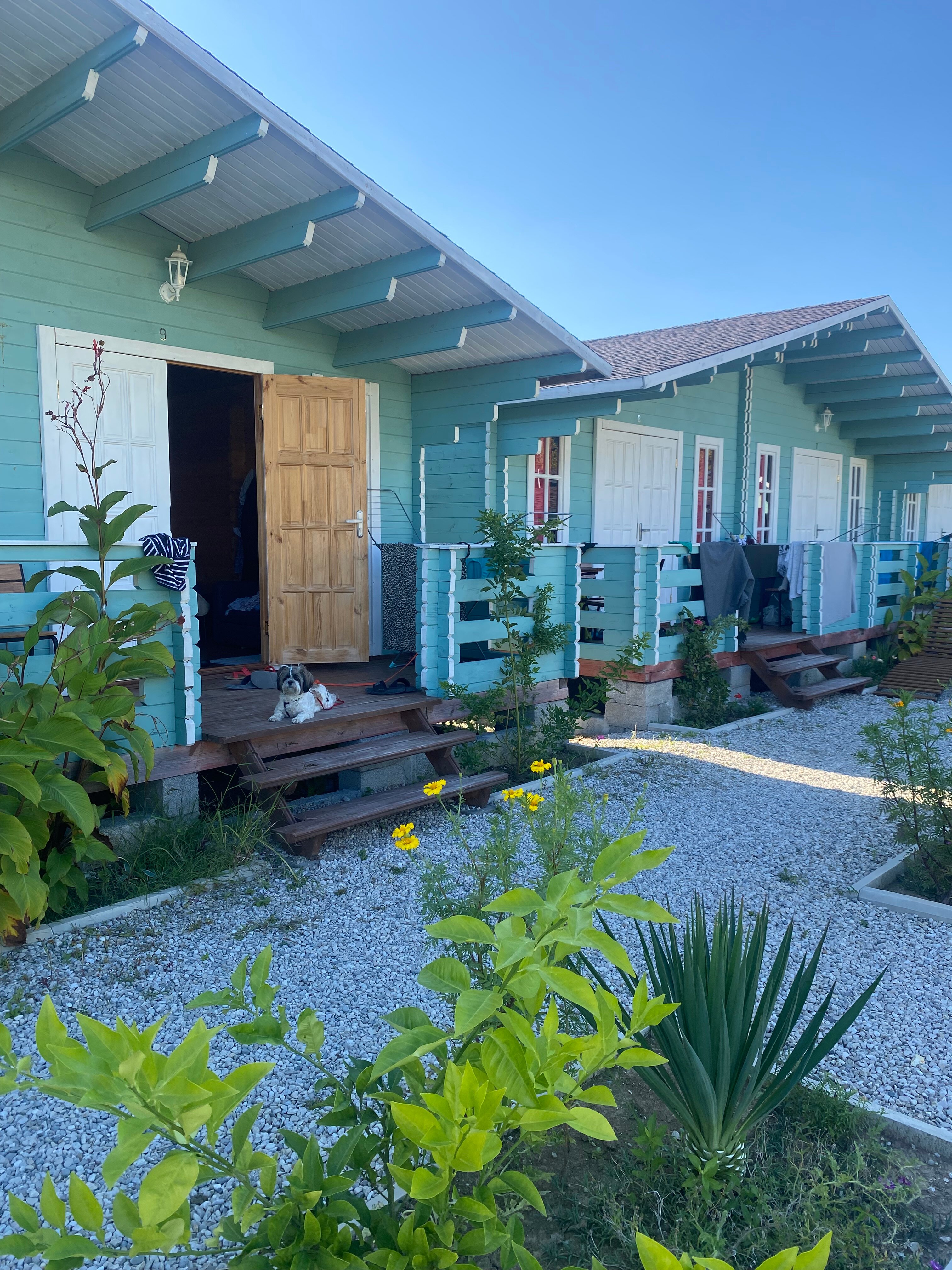 Фото Лазурный