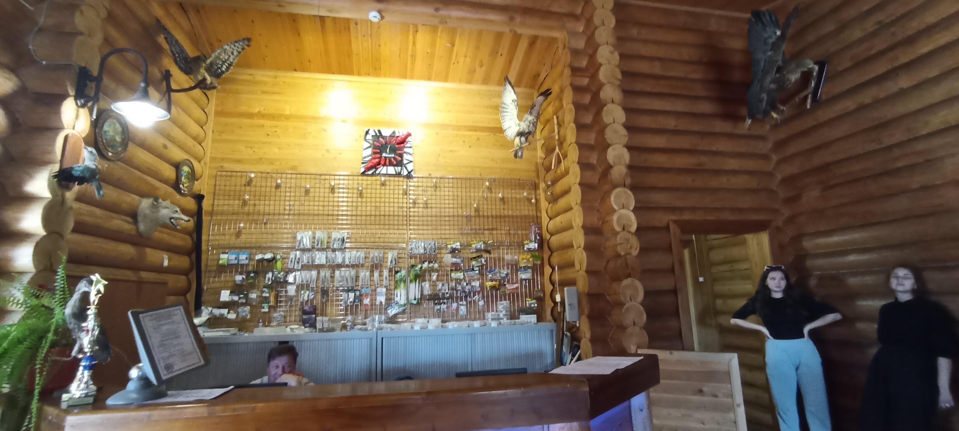 Фото Синяя птица