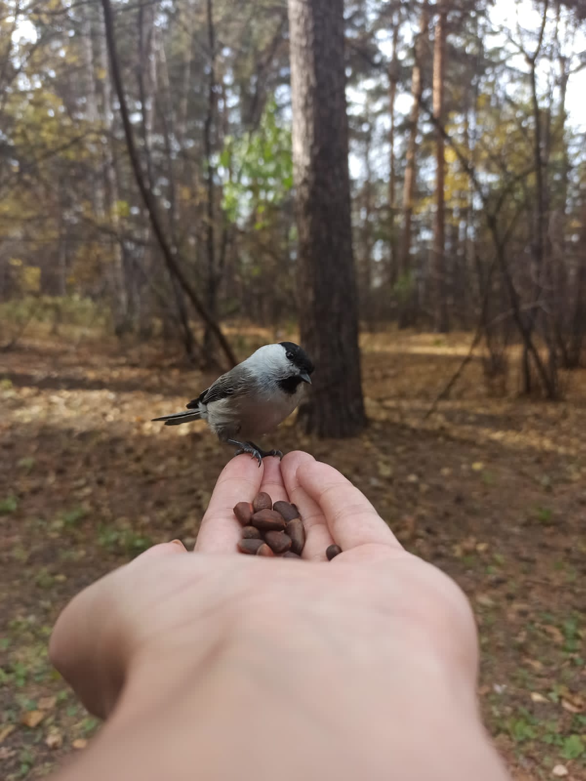 Фото Ангара