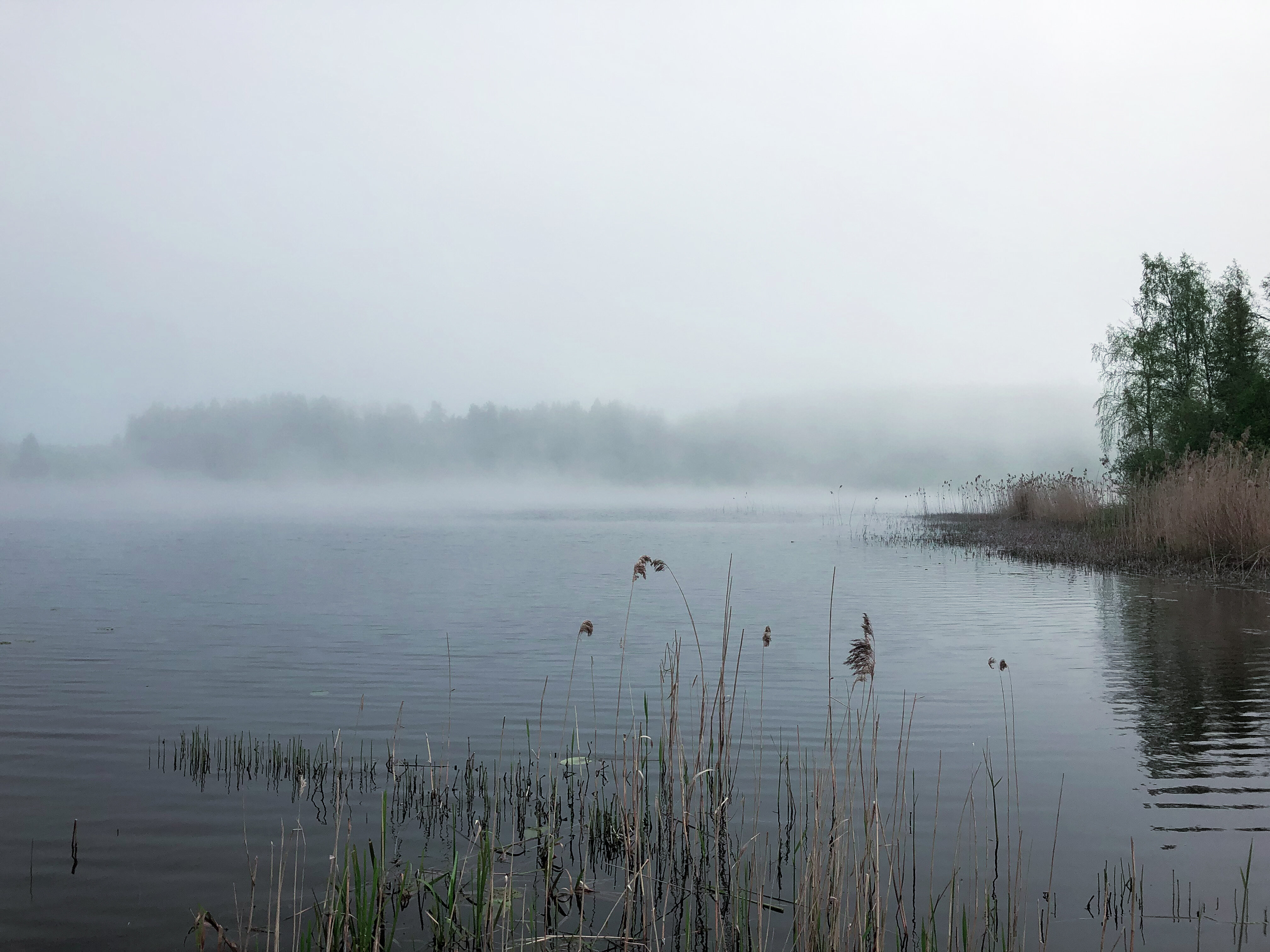Фото Варёновка