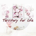 Territory for life (Kievskaya street, 19), short-term housing rental