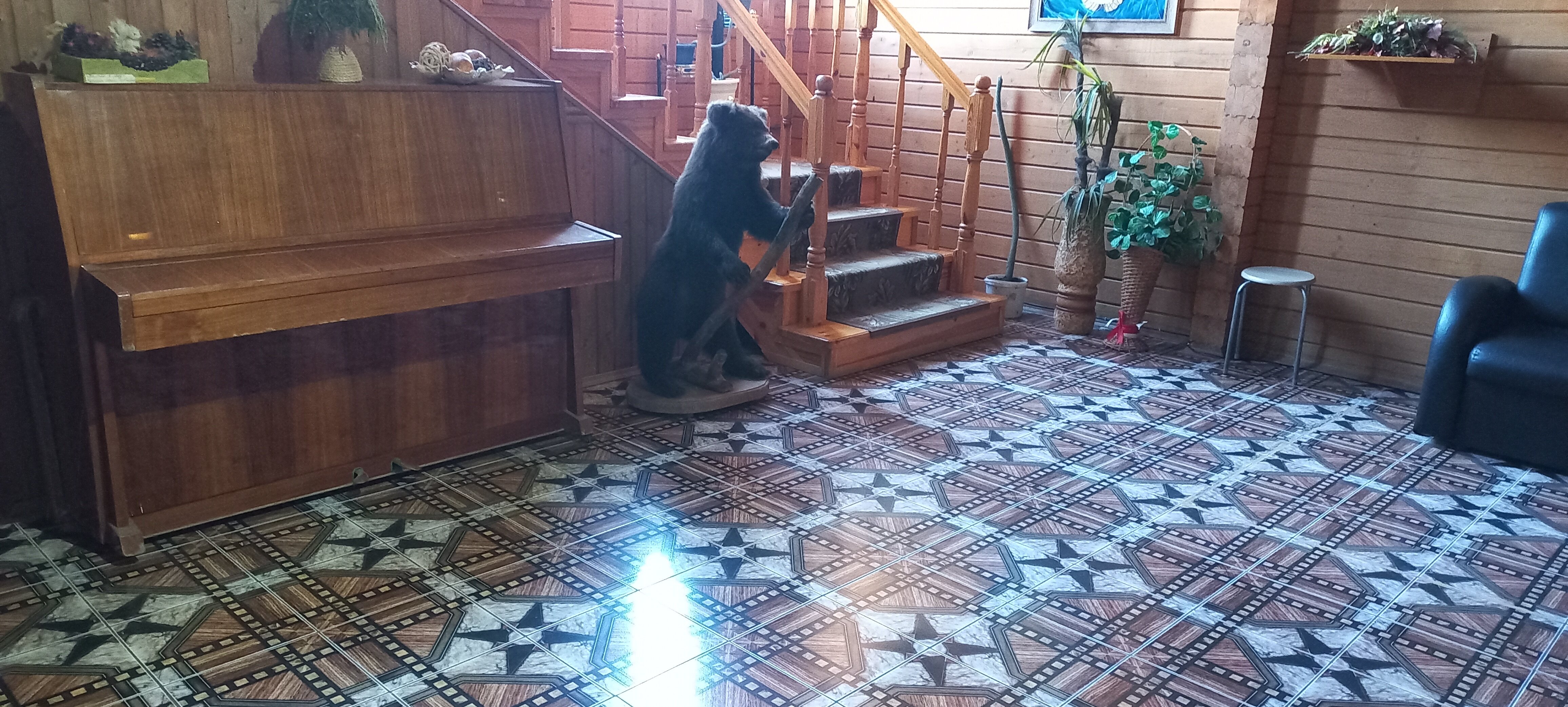 Фото Колизей