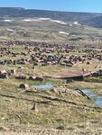 Амур Золото (Восточное ш., 14А, Хабаровск), добыча природных ресурсов в Хабаровске