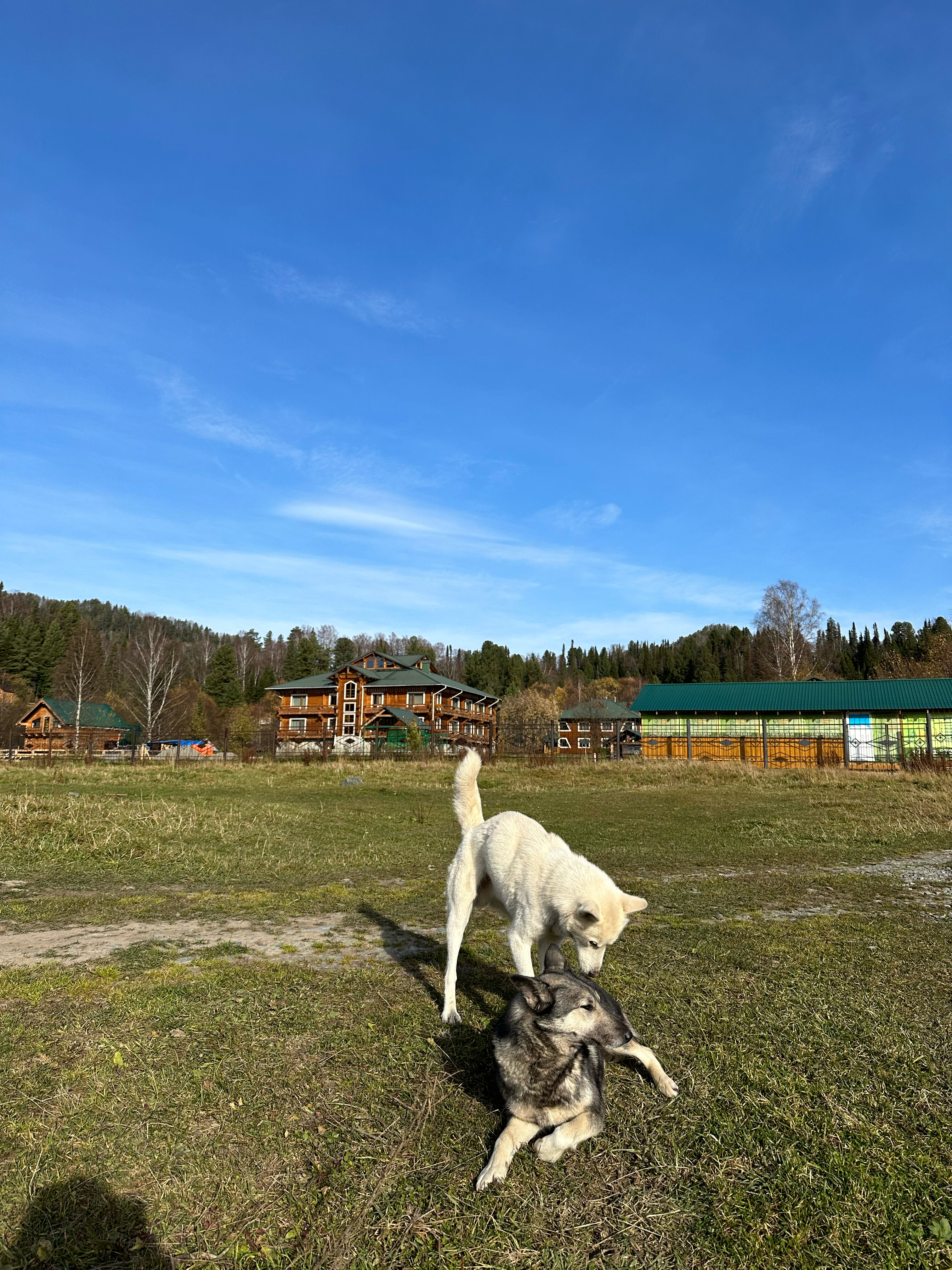 Фото Алтын-Кёль