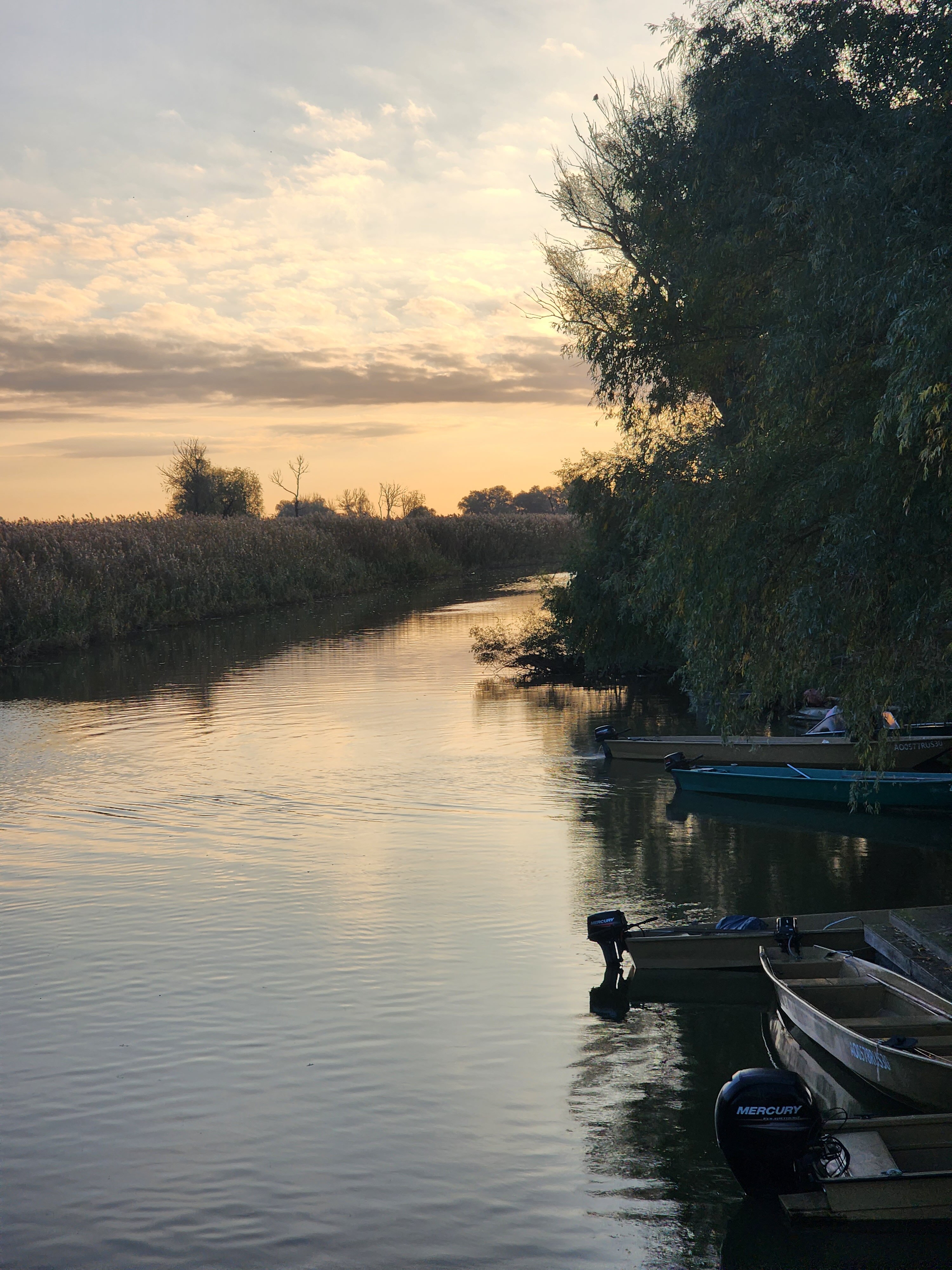 Фото Пиранья Дельта