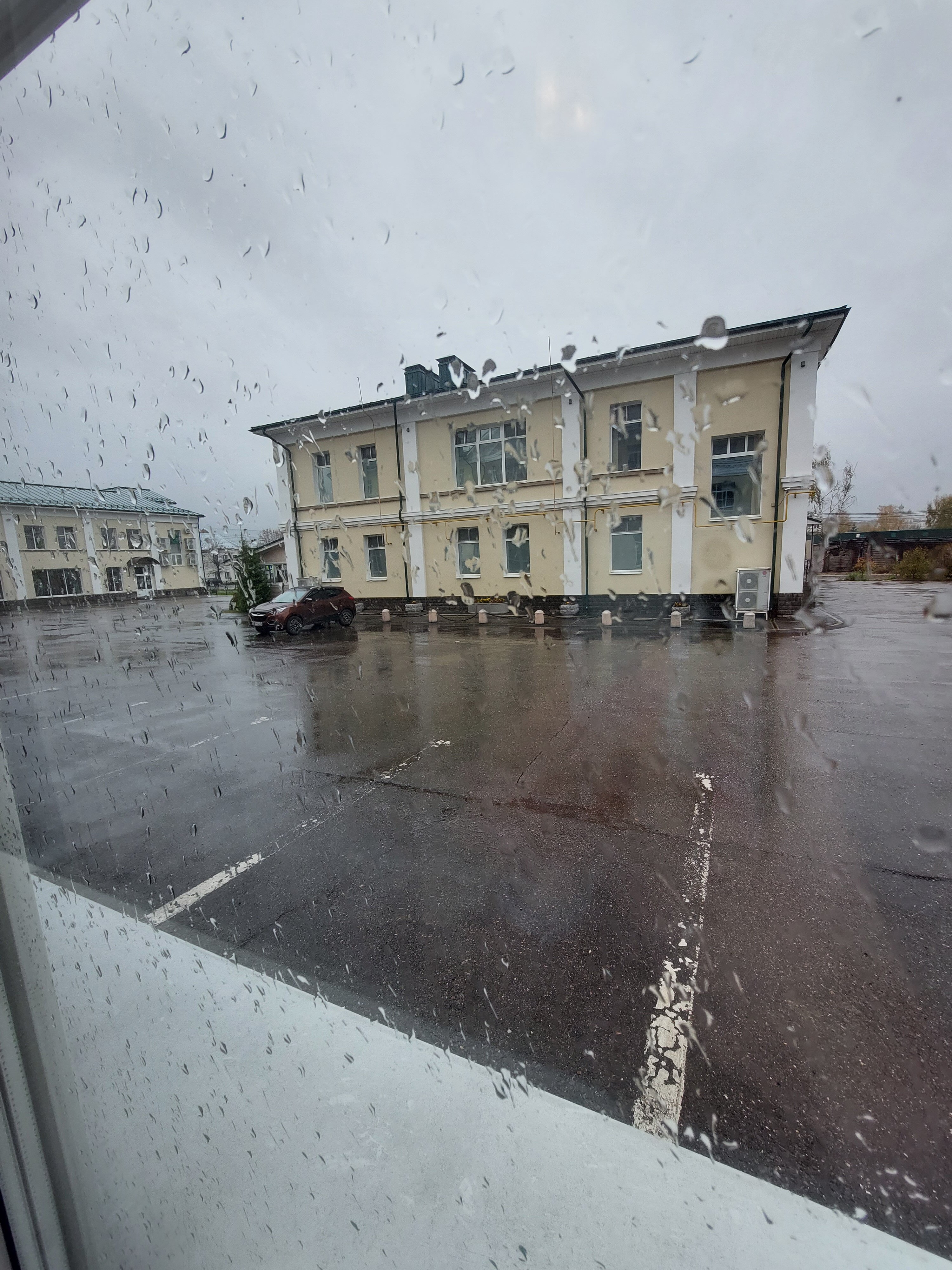 Фото Петровский