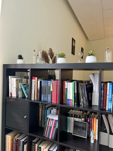 Uzmanlık eğitimi School of Practical and Philosophical Psychoanalysis, Saint‑Petersburg, foto