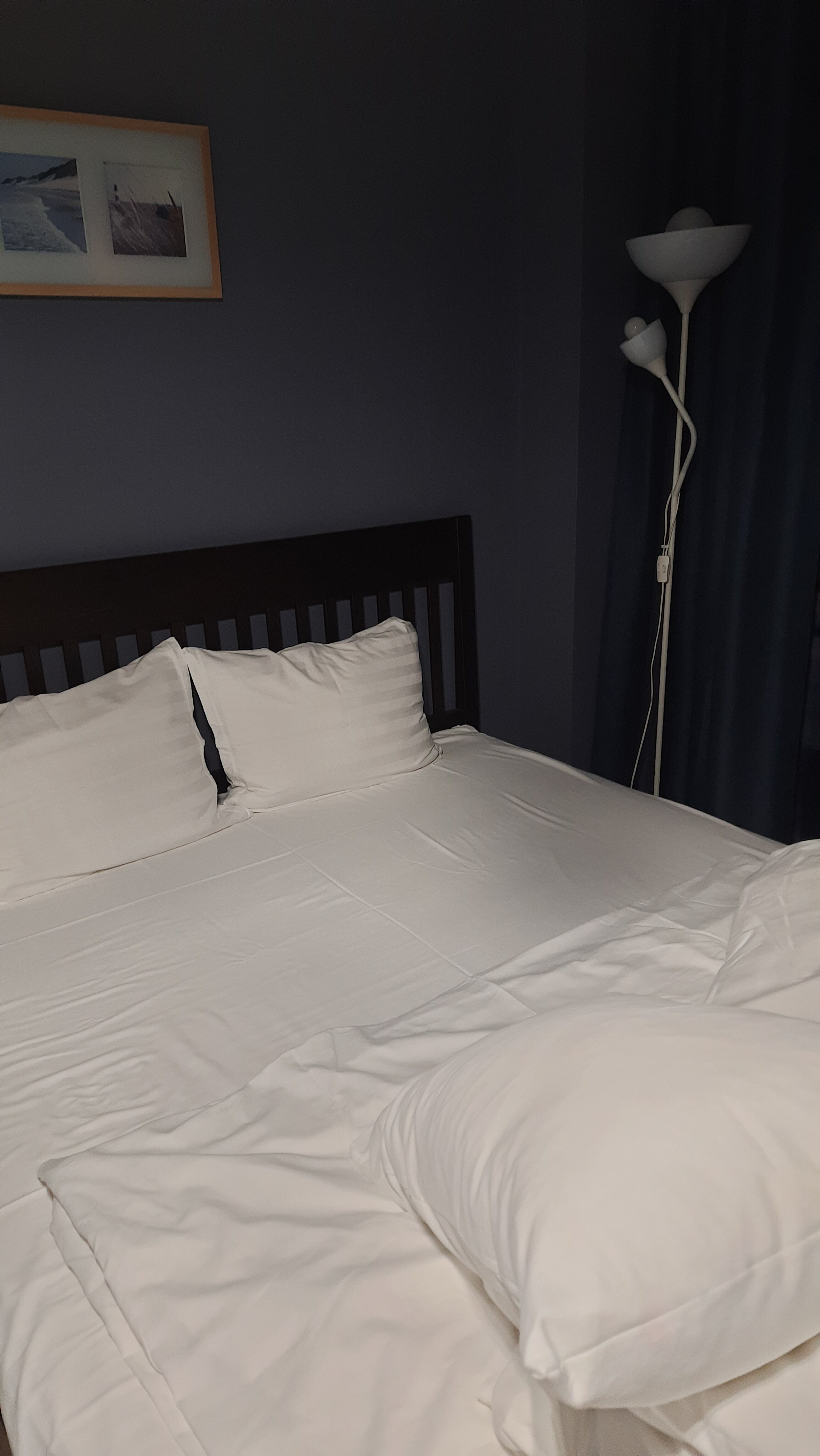 Фото Amosov's House