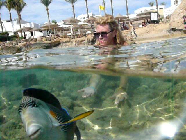 Фото Sunrise Diamond Beach Resort