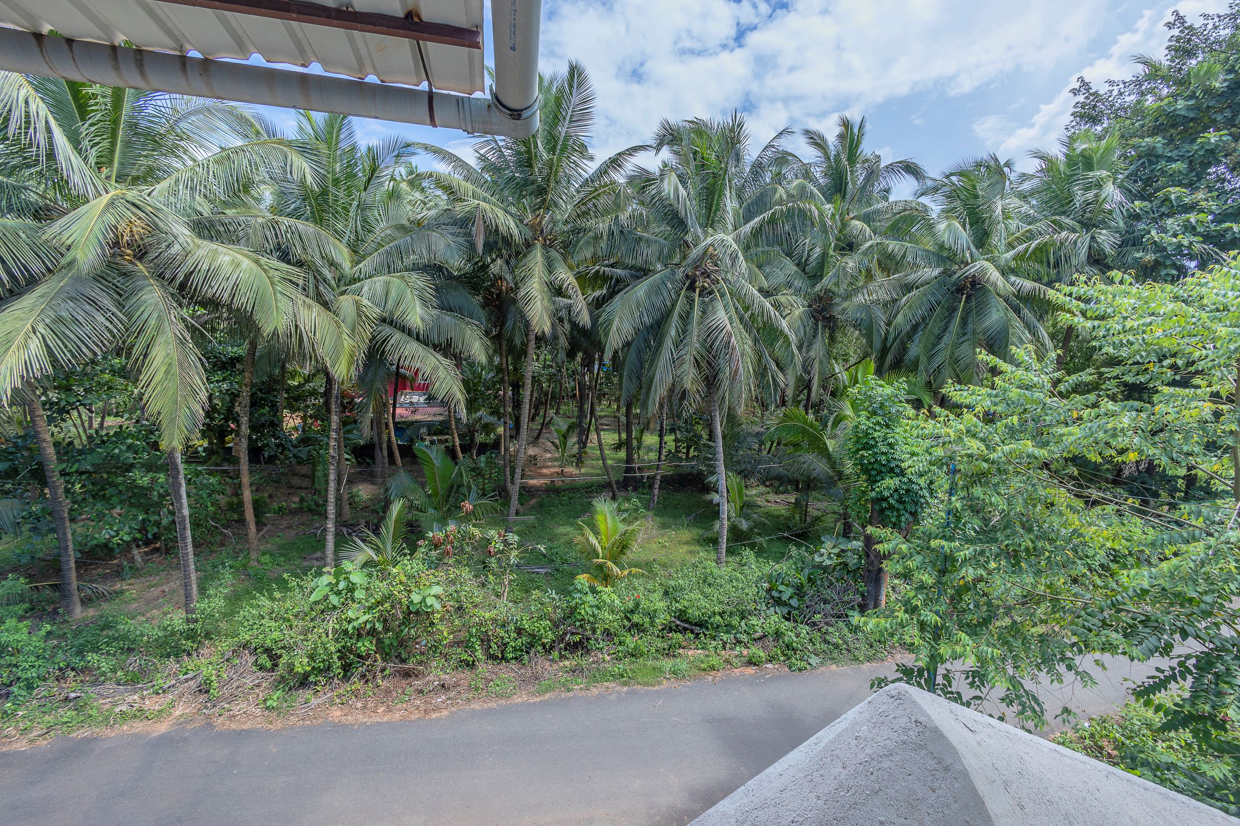 Фото Гостевой дом The Sequeira Goa