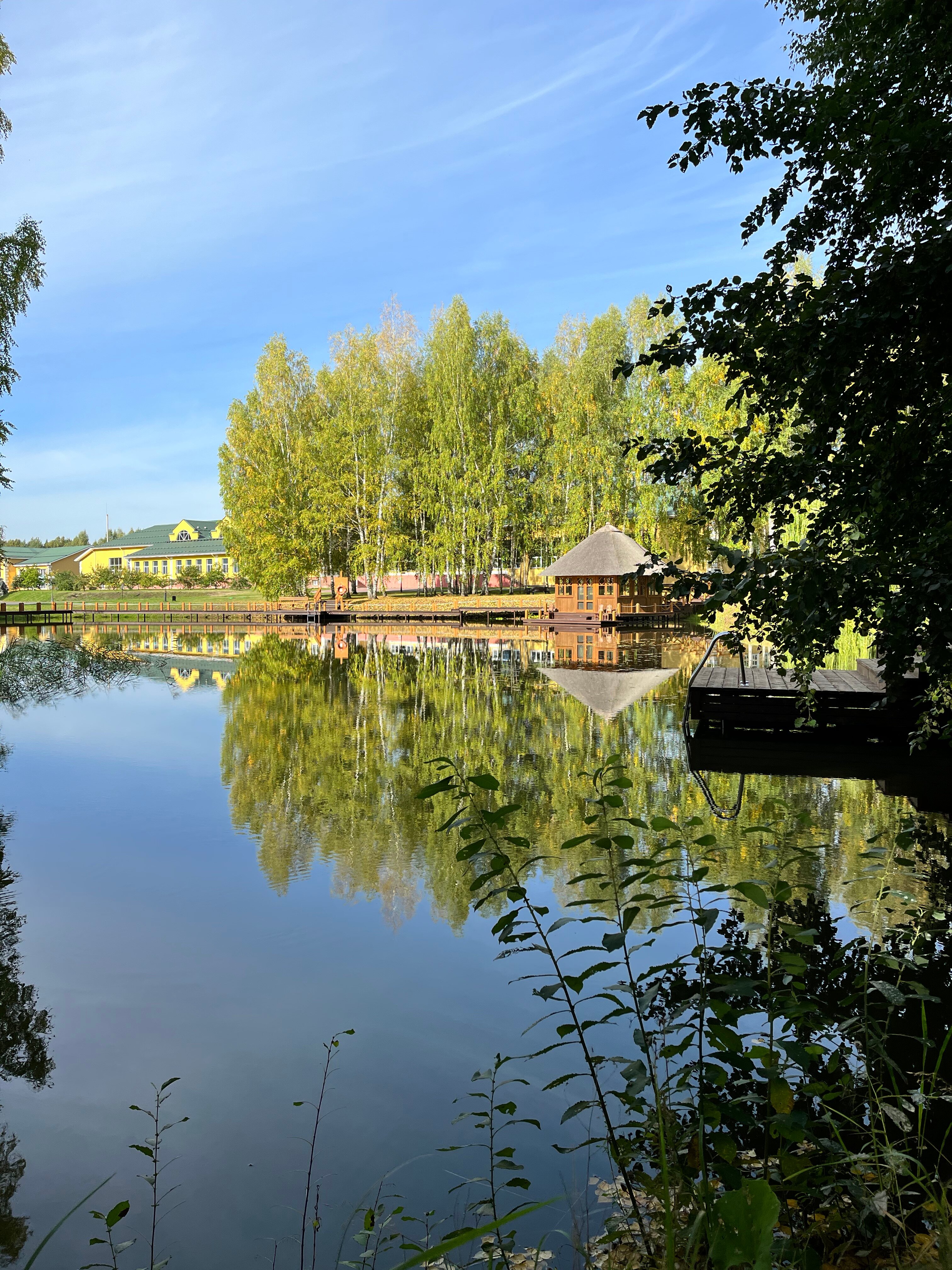 Фото Басовское