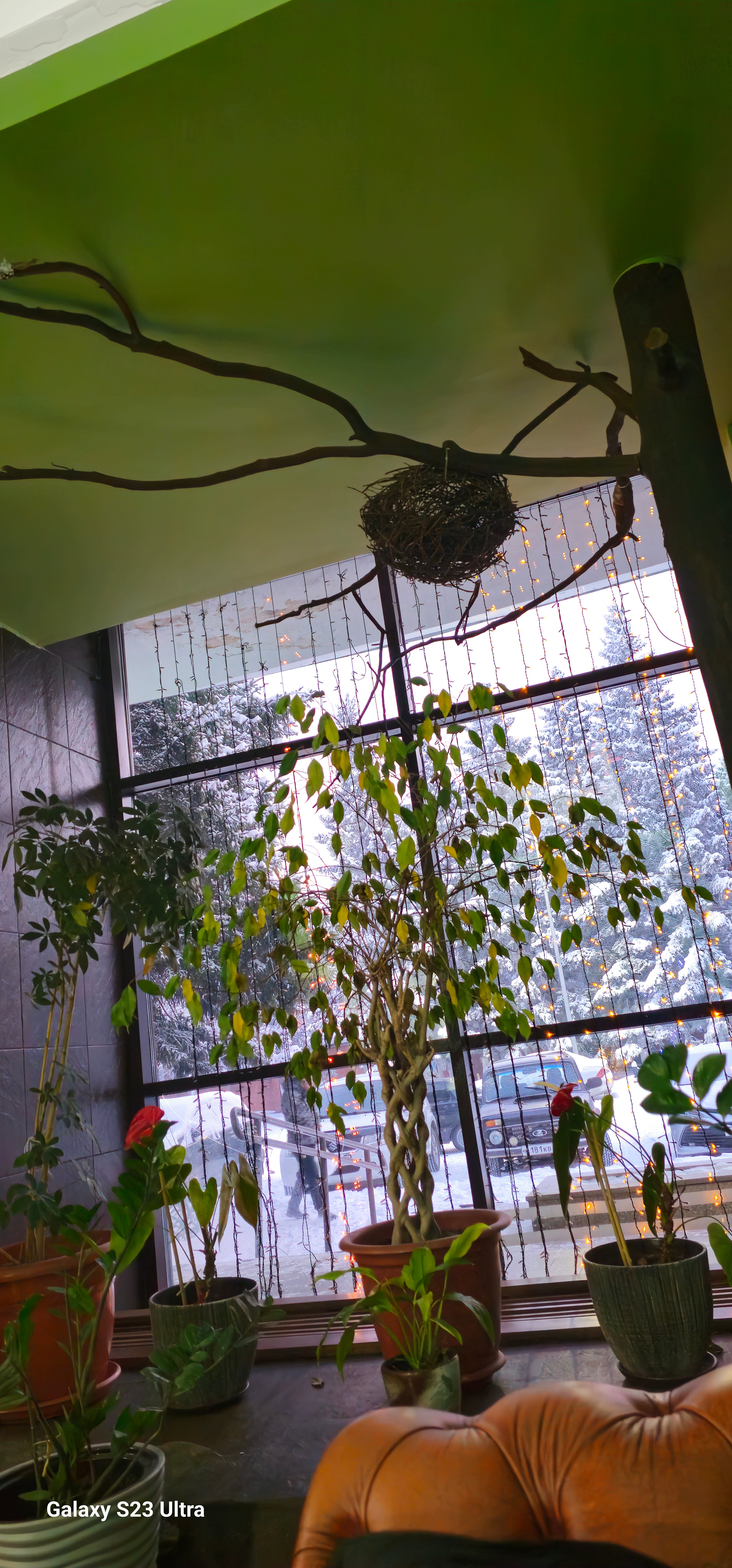 Фото Одуген