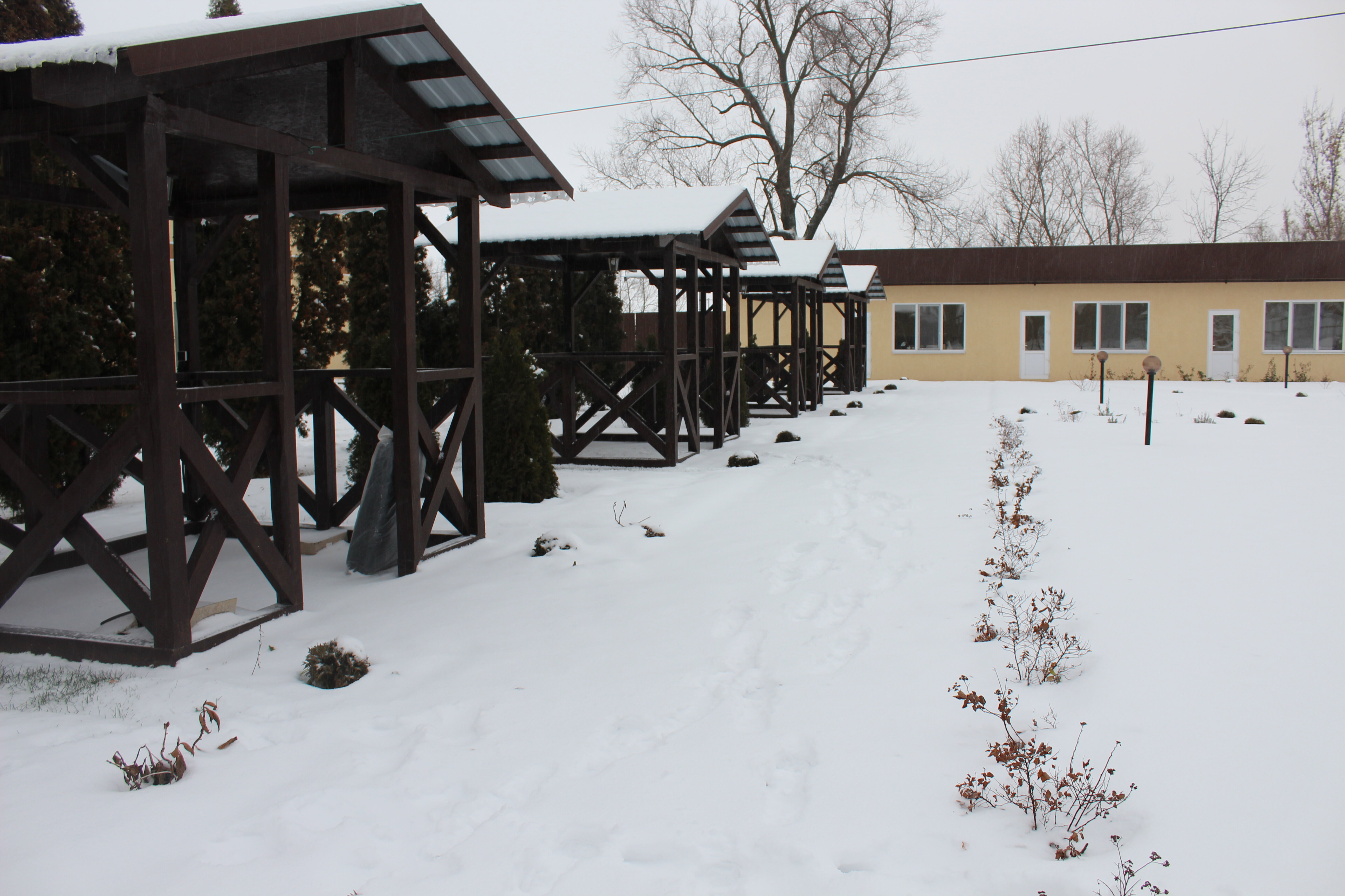 Фото Александрия