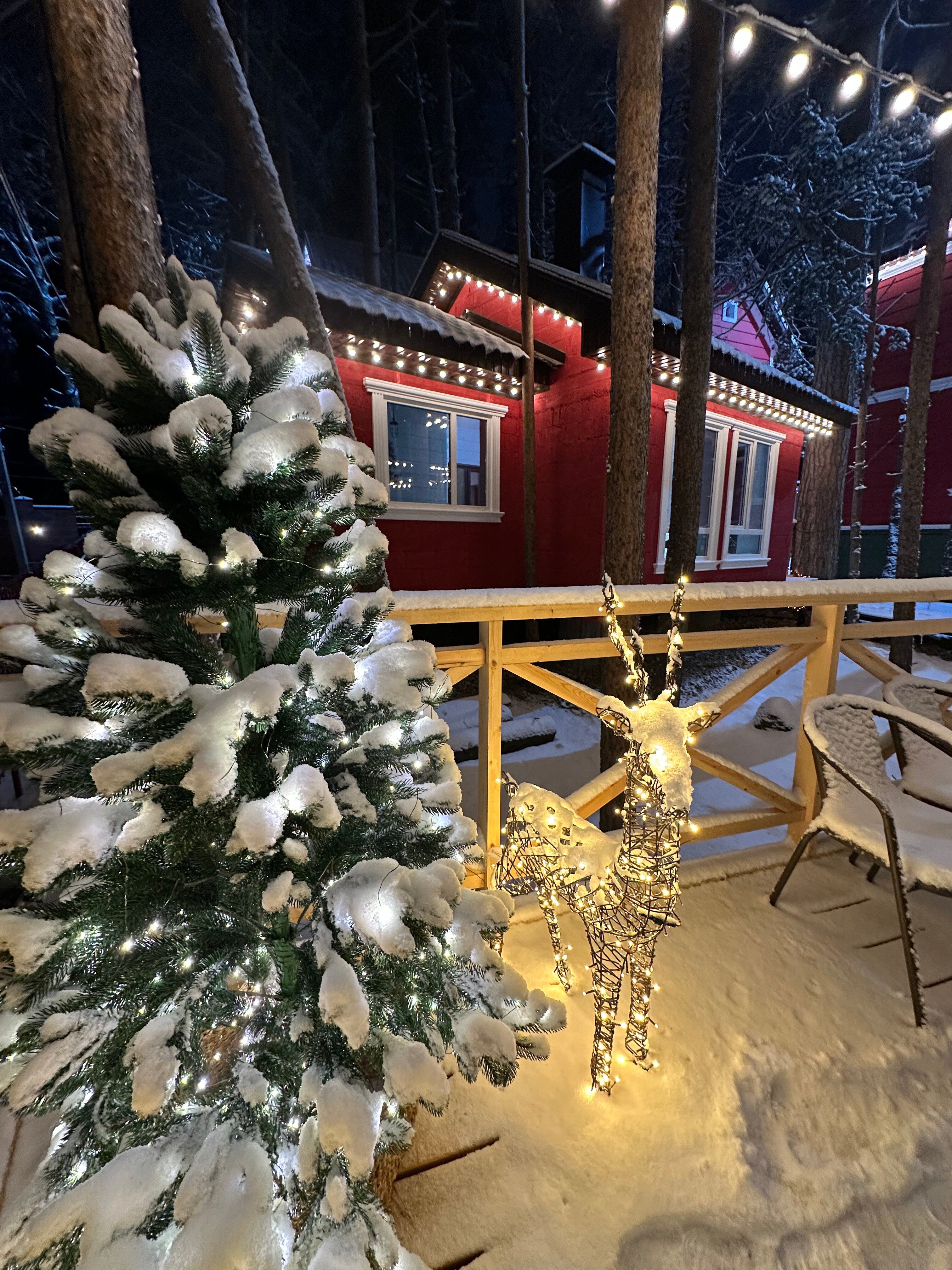 Фото Вилла Омега