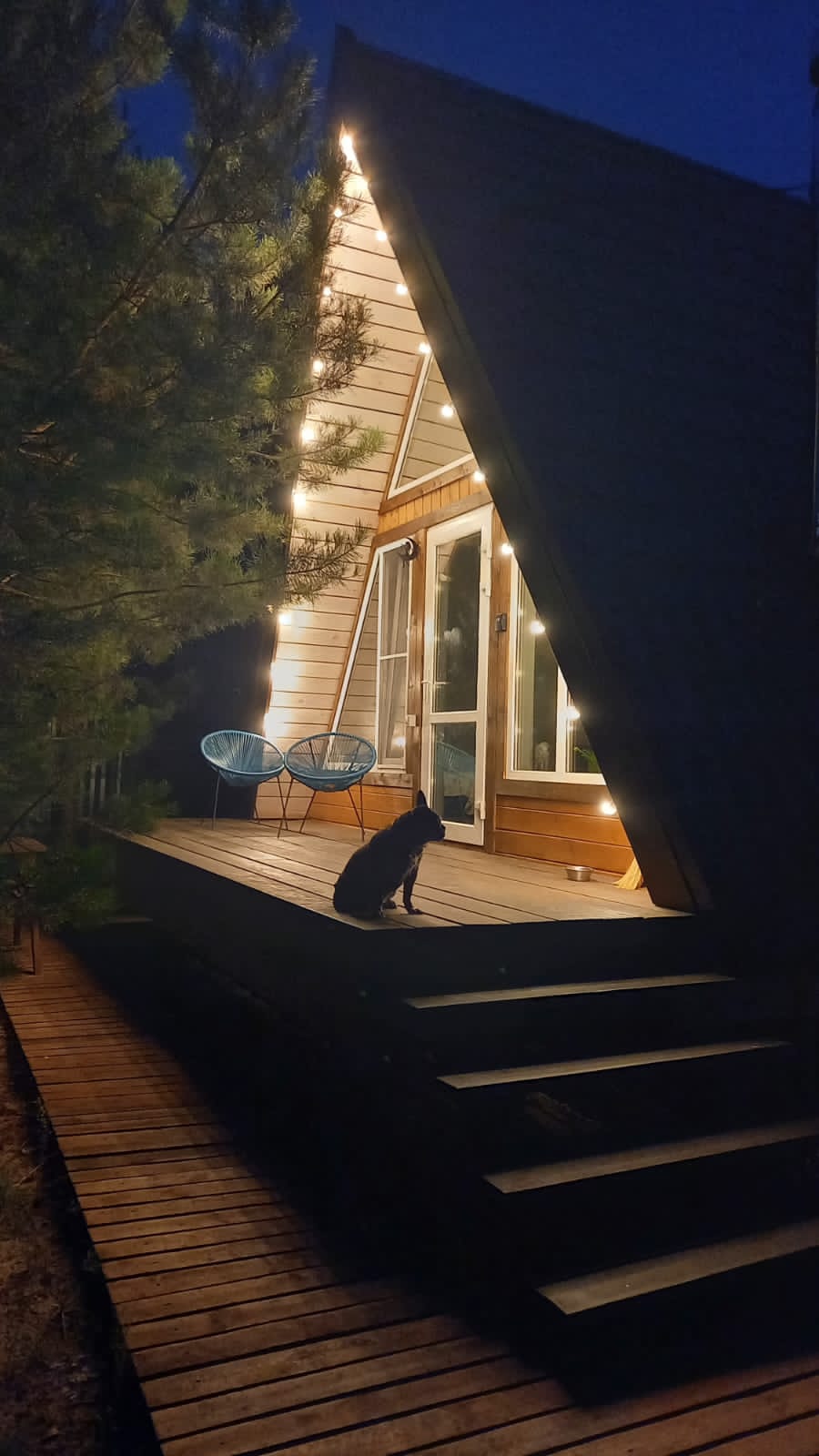 Фото Мишкино