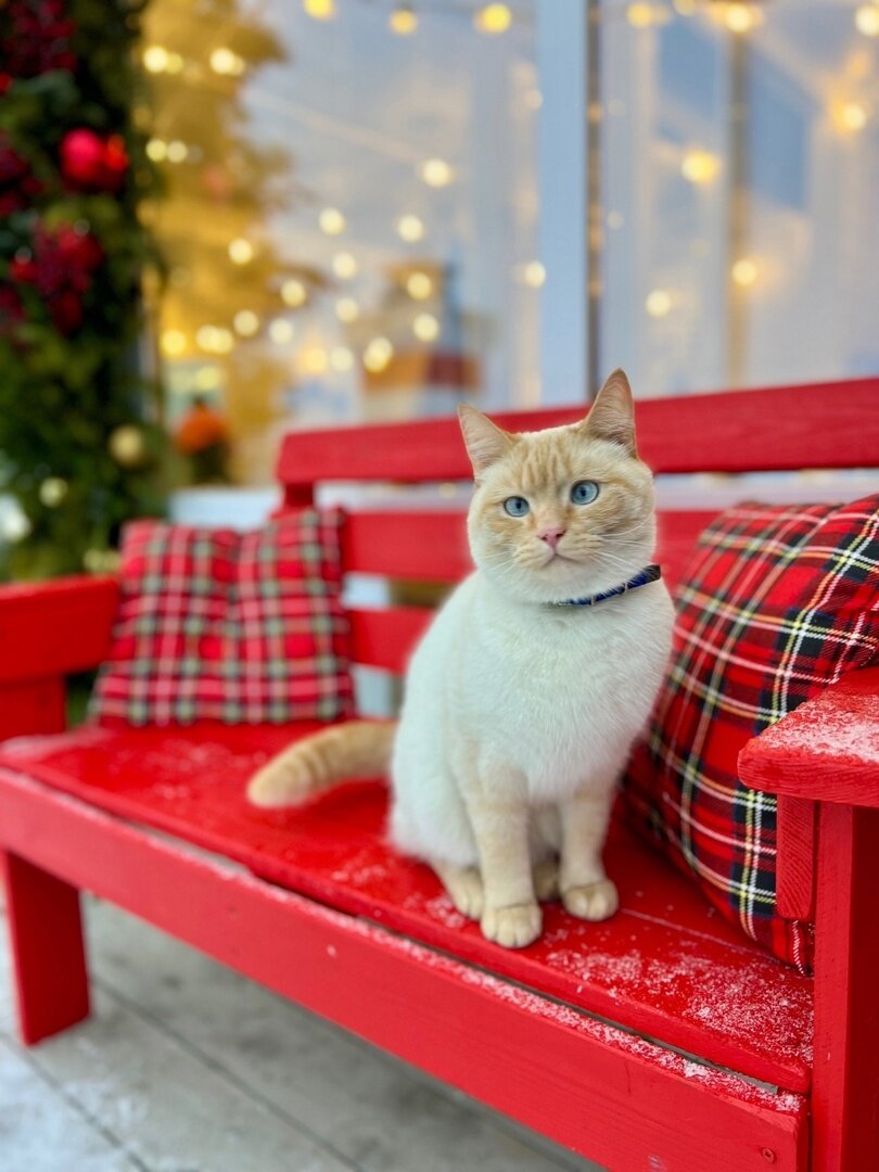 Фото Эко Порт на Ижевском пруду