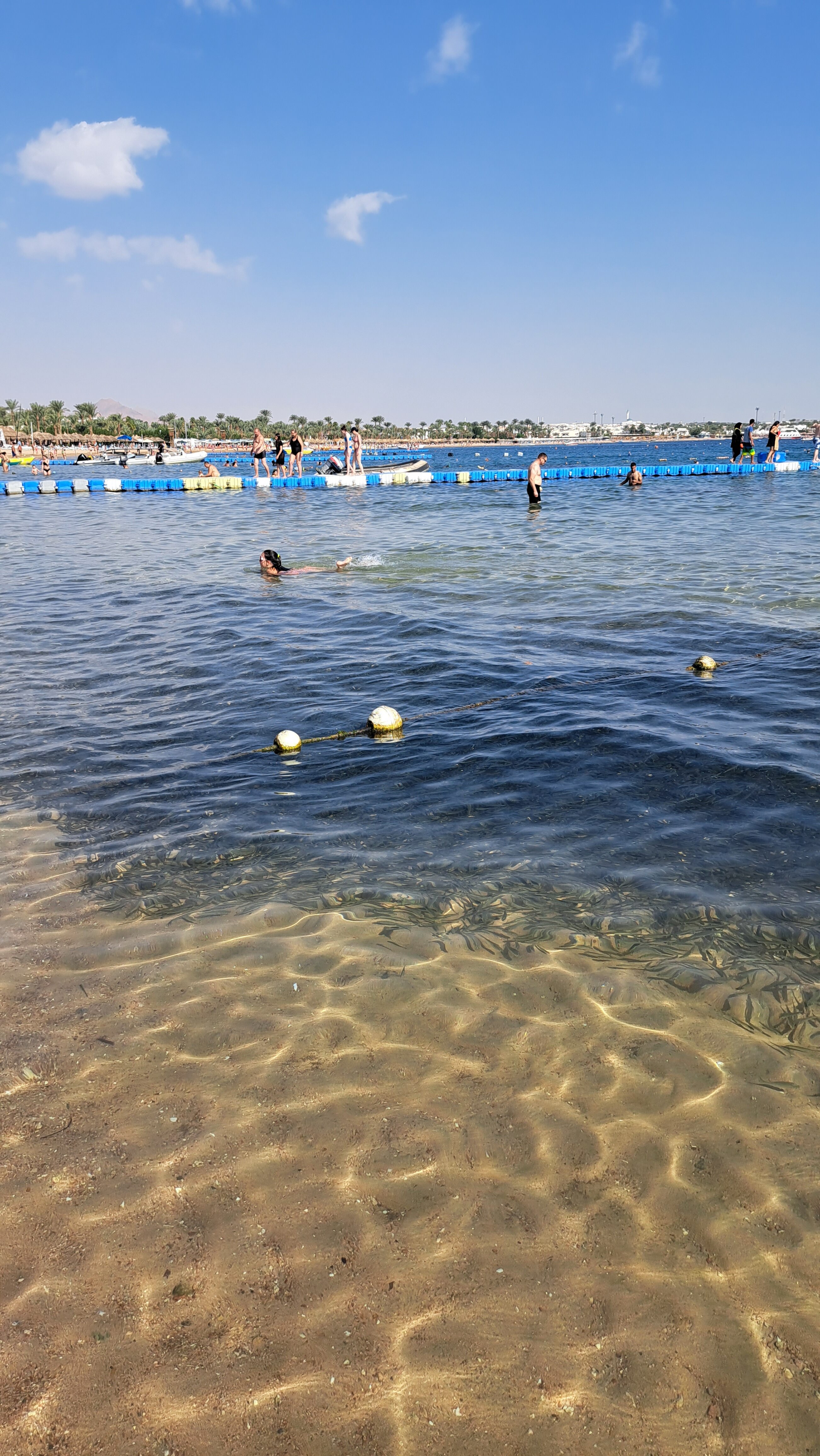 Фото Fun & Sun Naama Waves