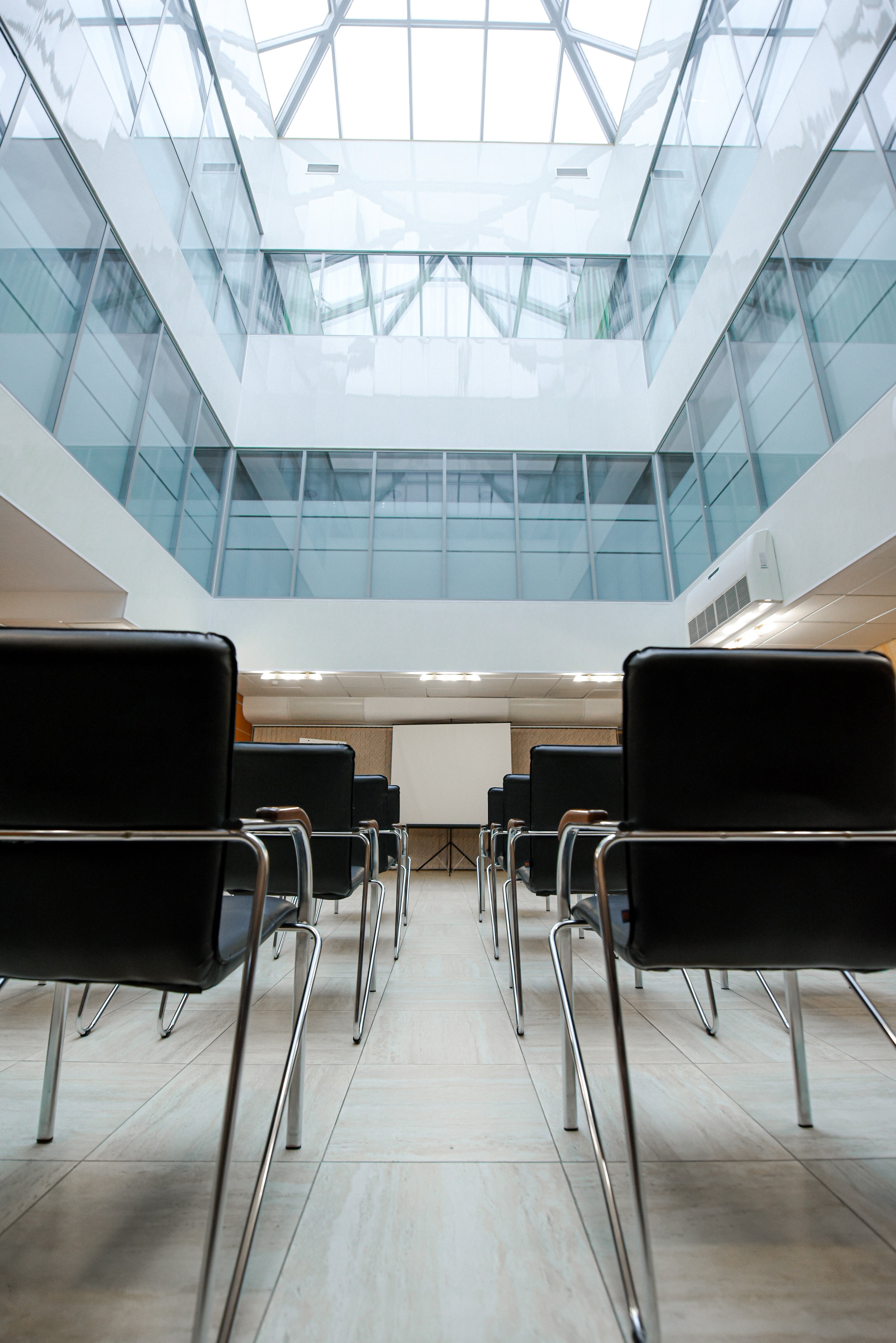 Фото Платан Южный