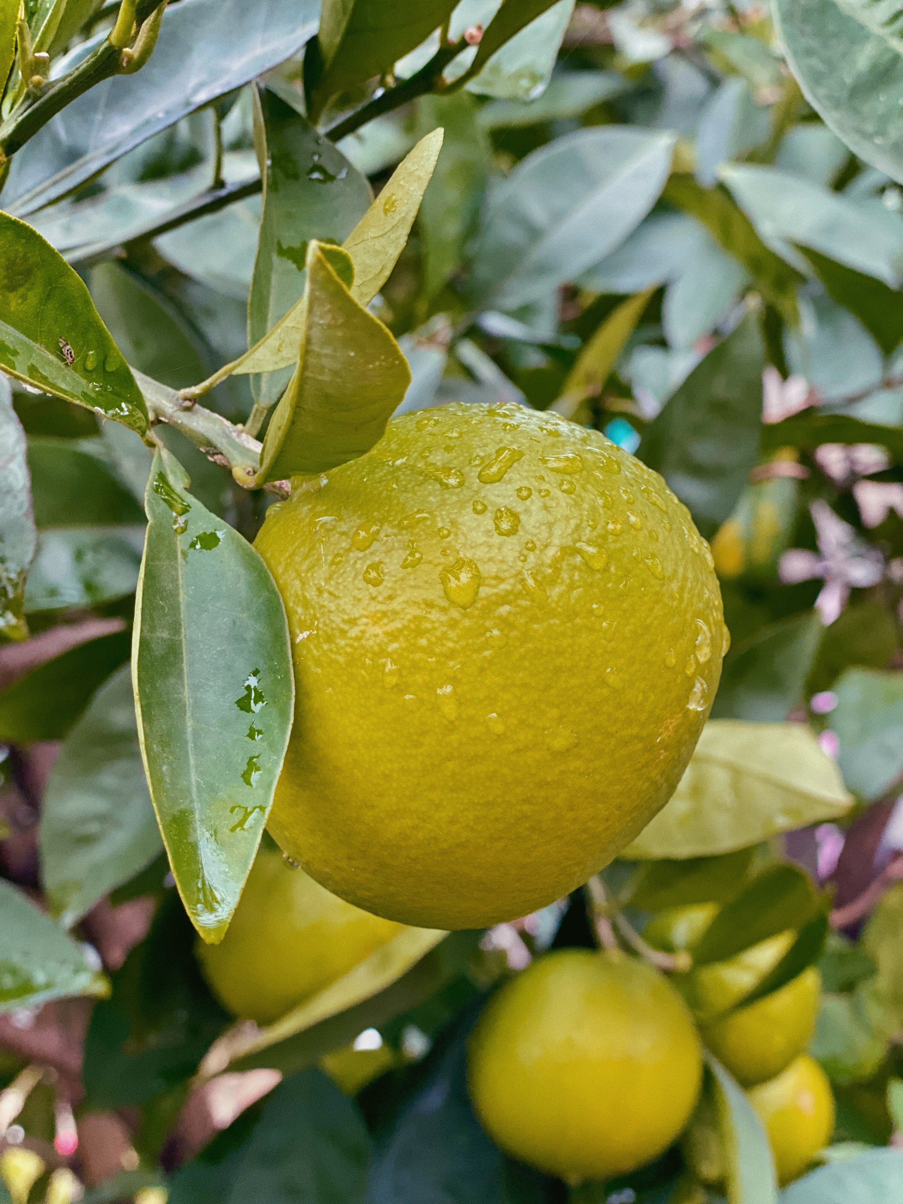 Фото Гостевой Дом Изабелла