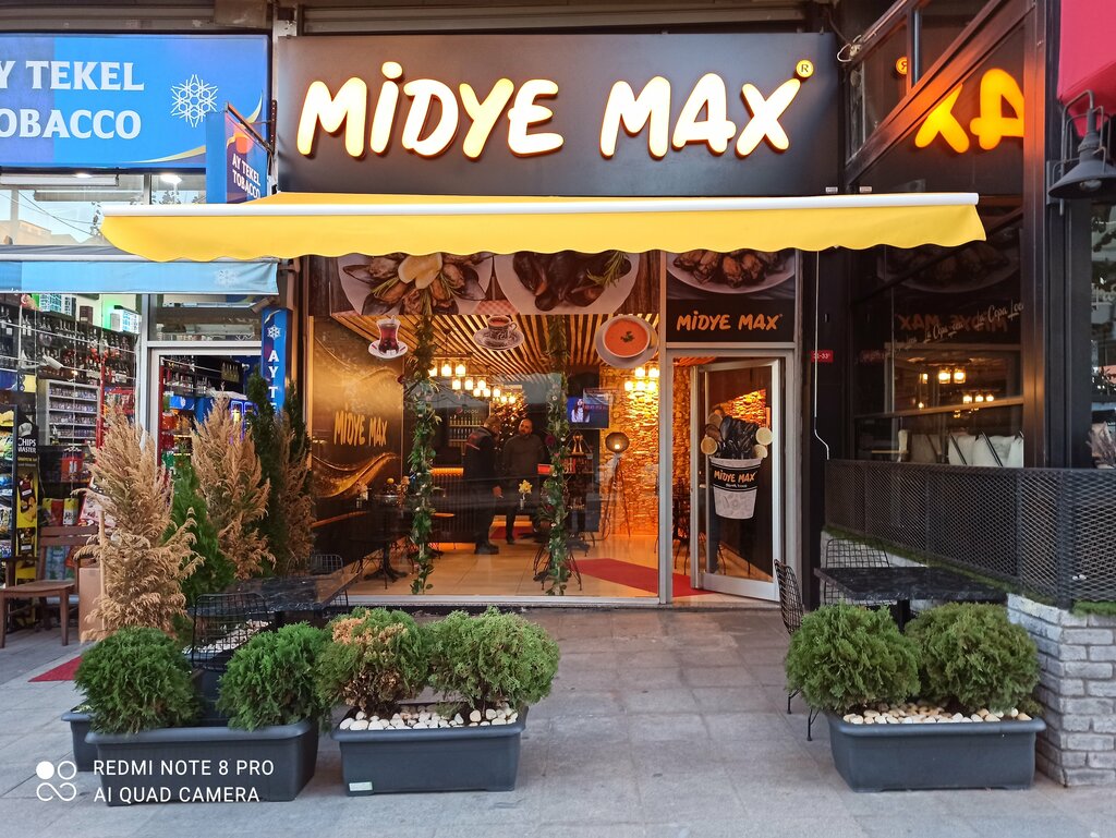 Frame and awning structures Sozan Tarpaulin, Istanbul, photo