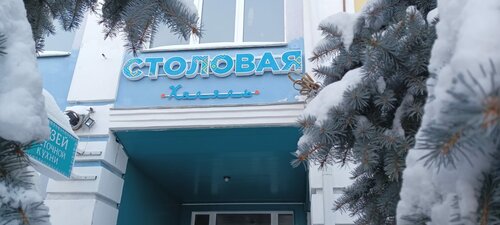 Canteen Халяль, Troitsk, photo