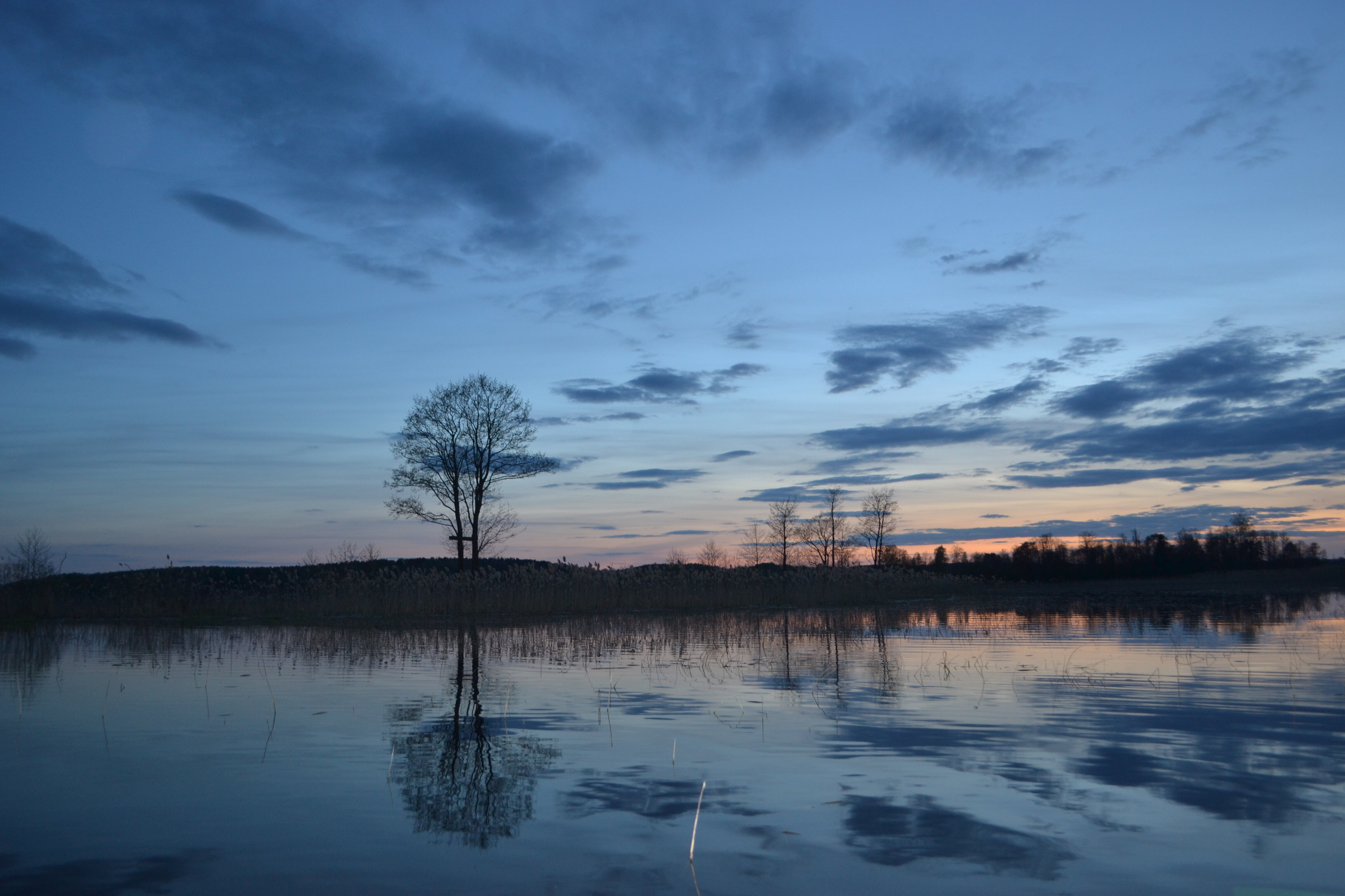 Фото Новый ковчег