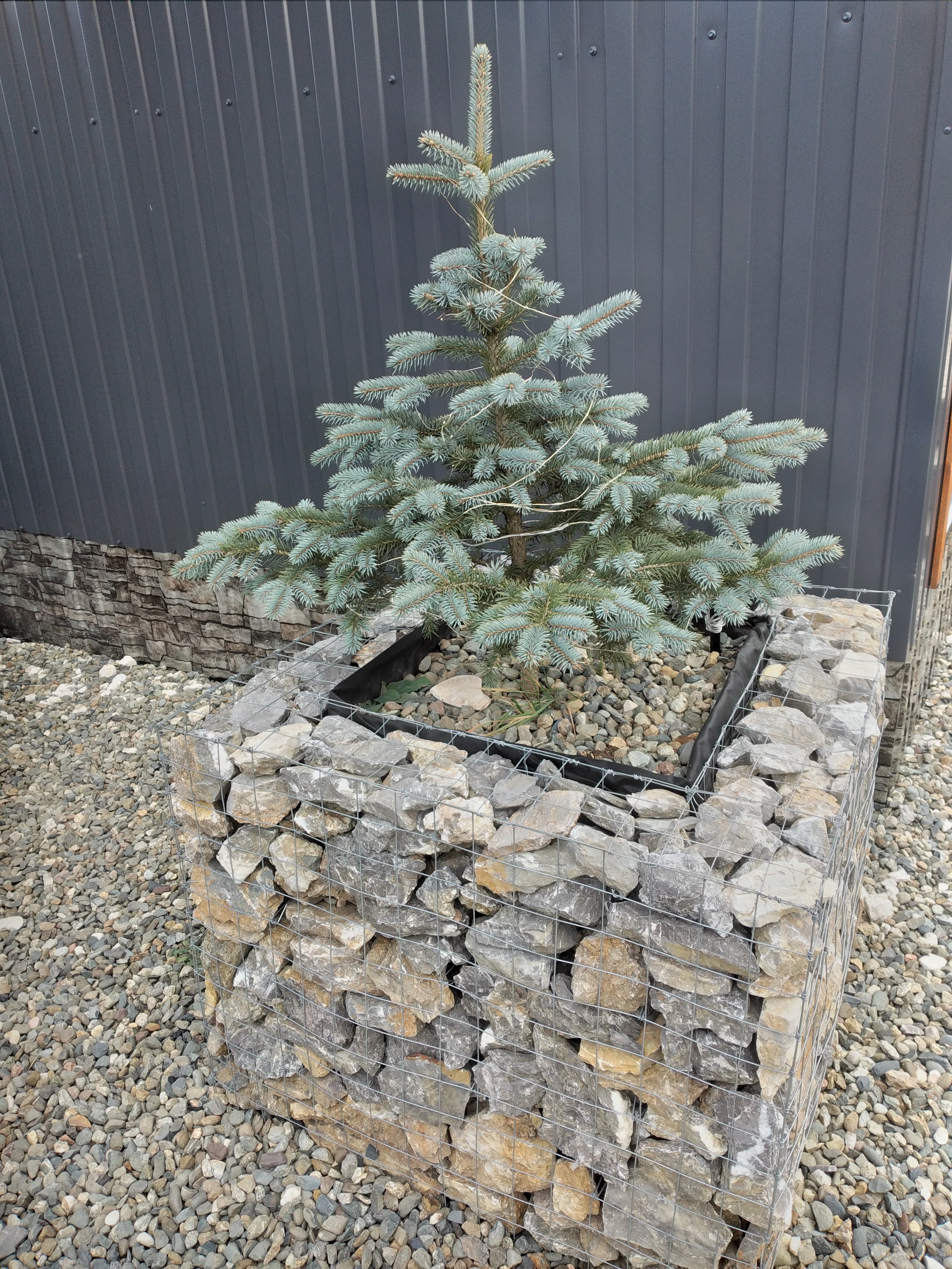 Фото Гостевые домики