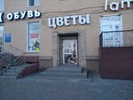 Цветы на Лермонтова (ул. Лермонтова, 20), магазин цветов в Омске