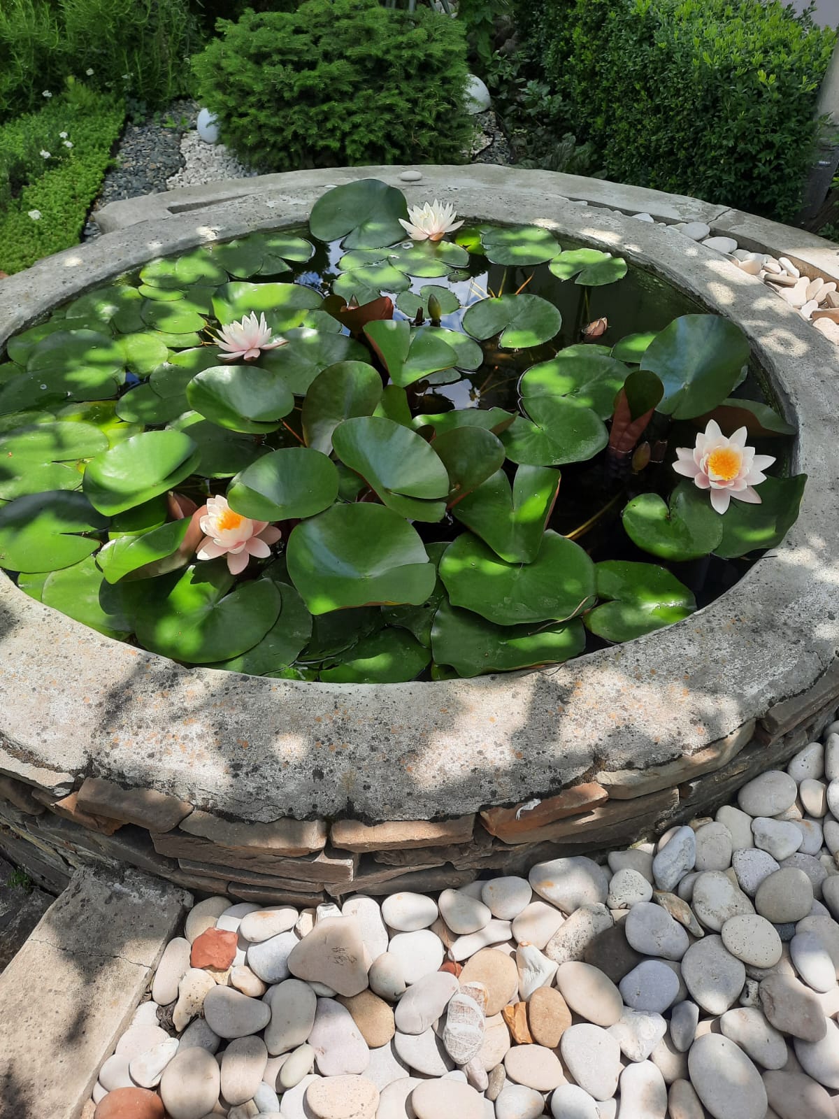 Фото На Октябрьской 5