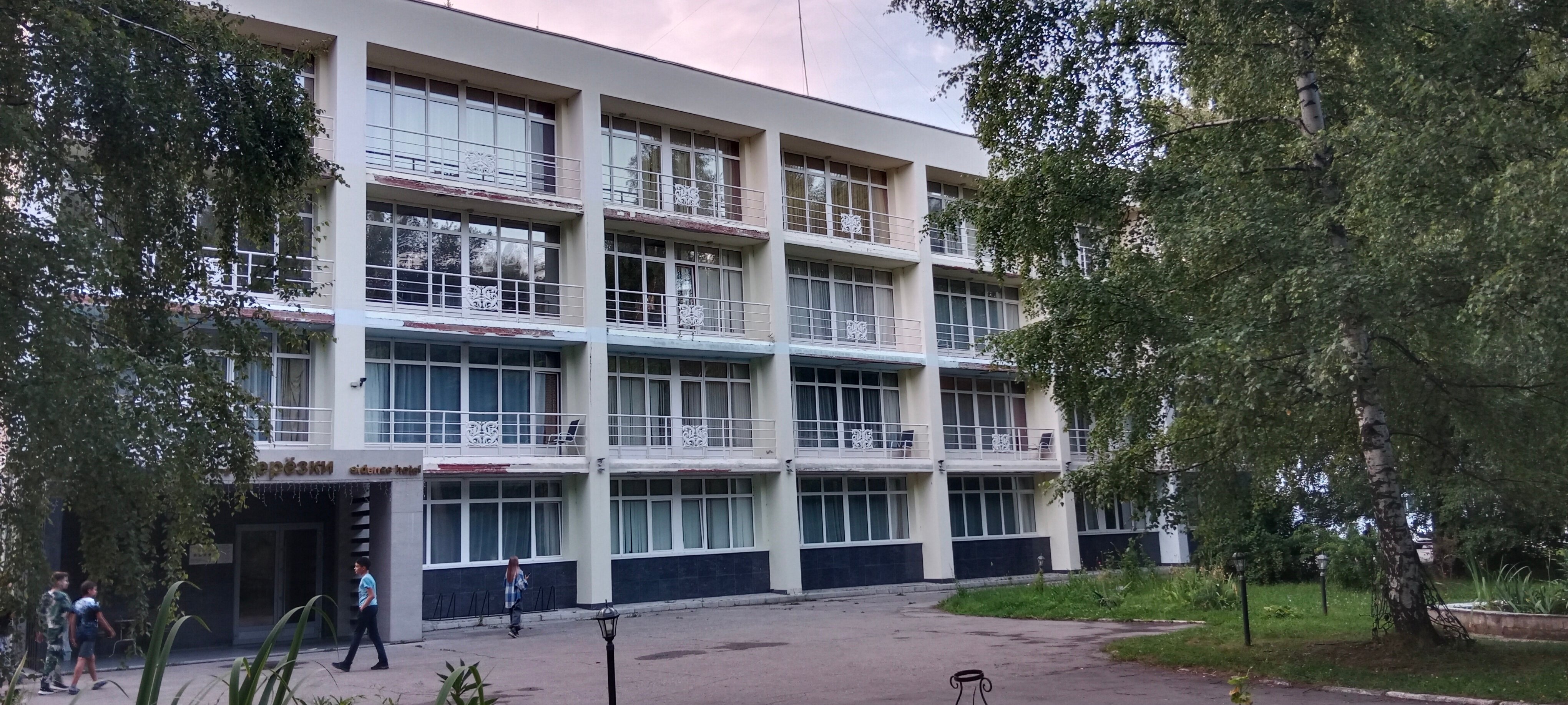 Фото Берёзки