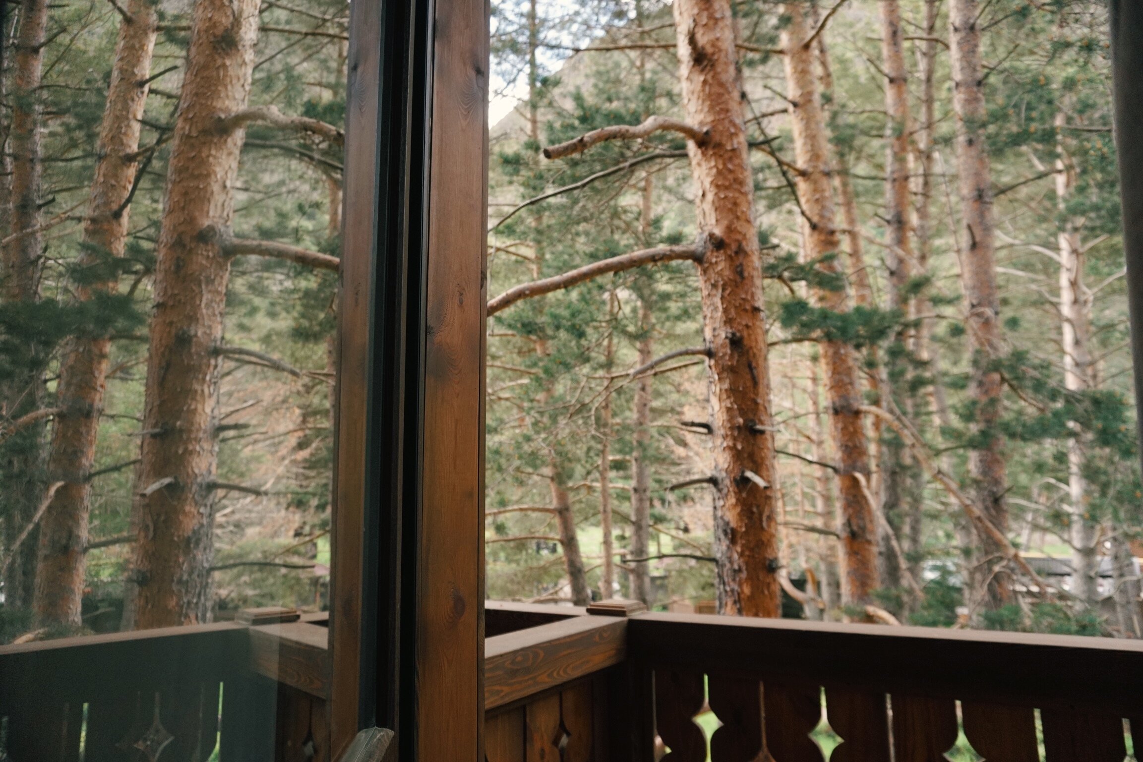 Фото Ozon Village