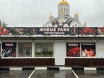 Живые раки (Vladimira Nevskogo Street, 48З/22) ، الأسماك والمأكولات البحرية