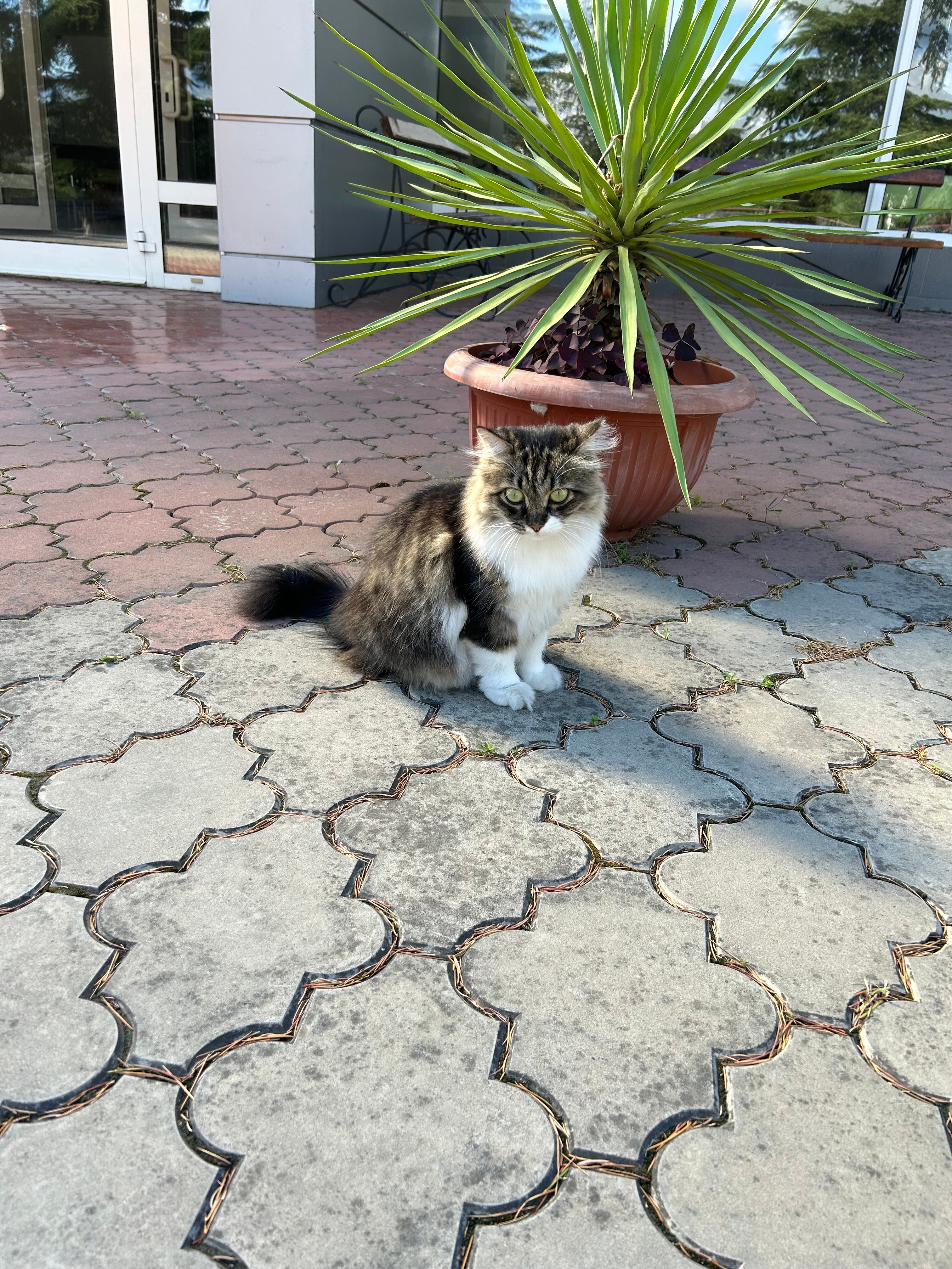 Фото Алушта