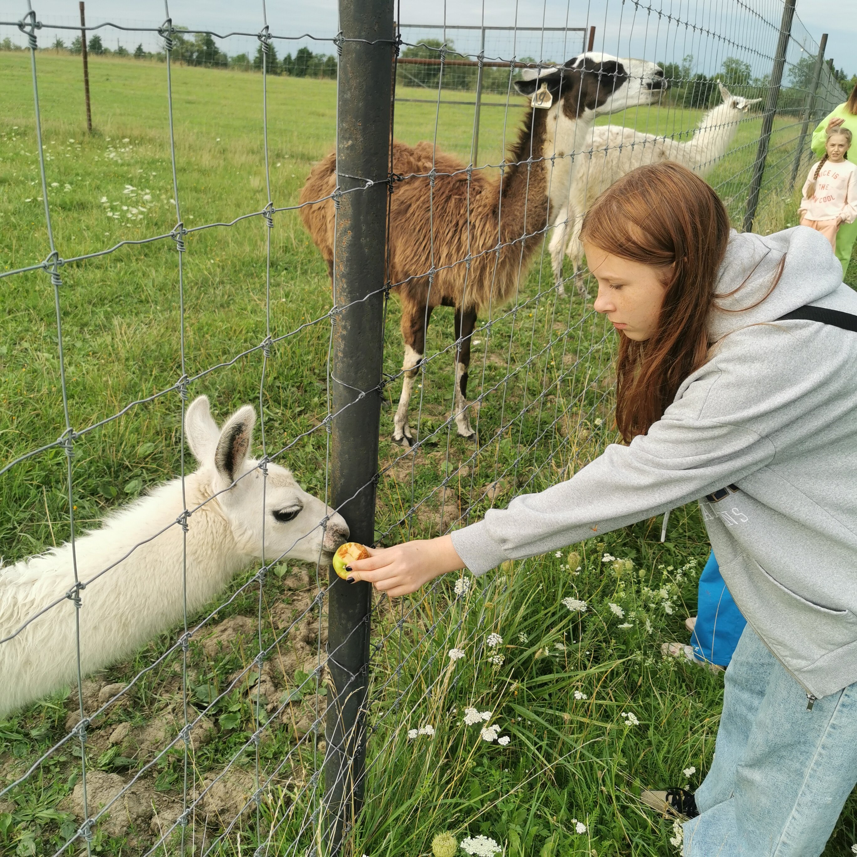 Фото Гостевой дом Мушкино