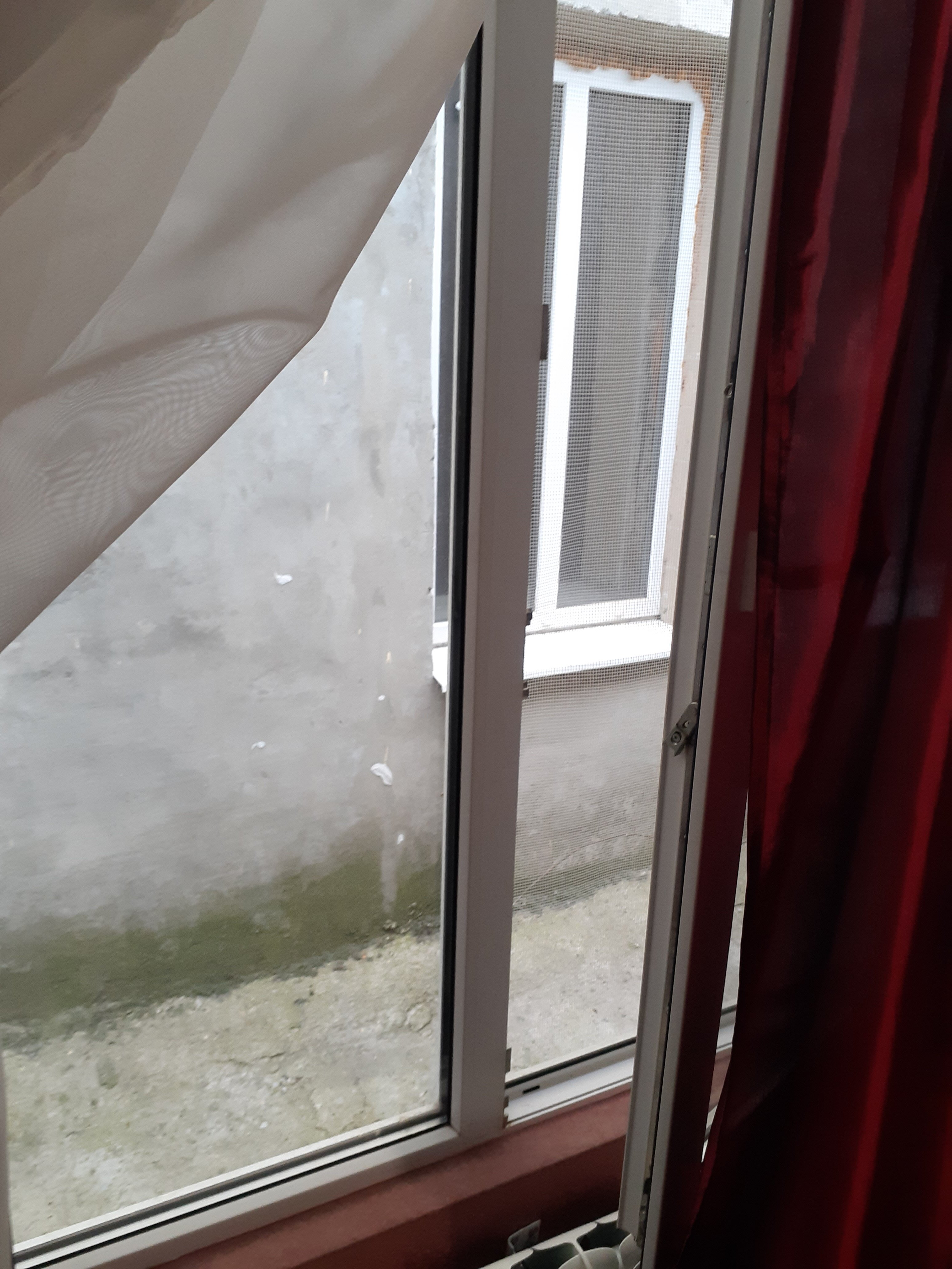 Фото Семейный