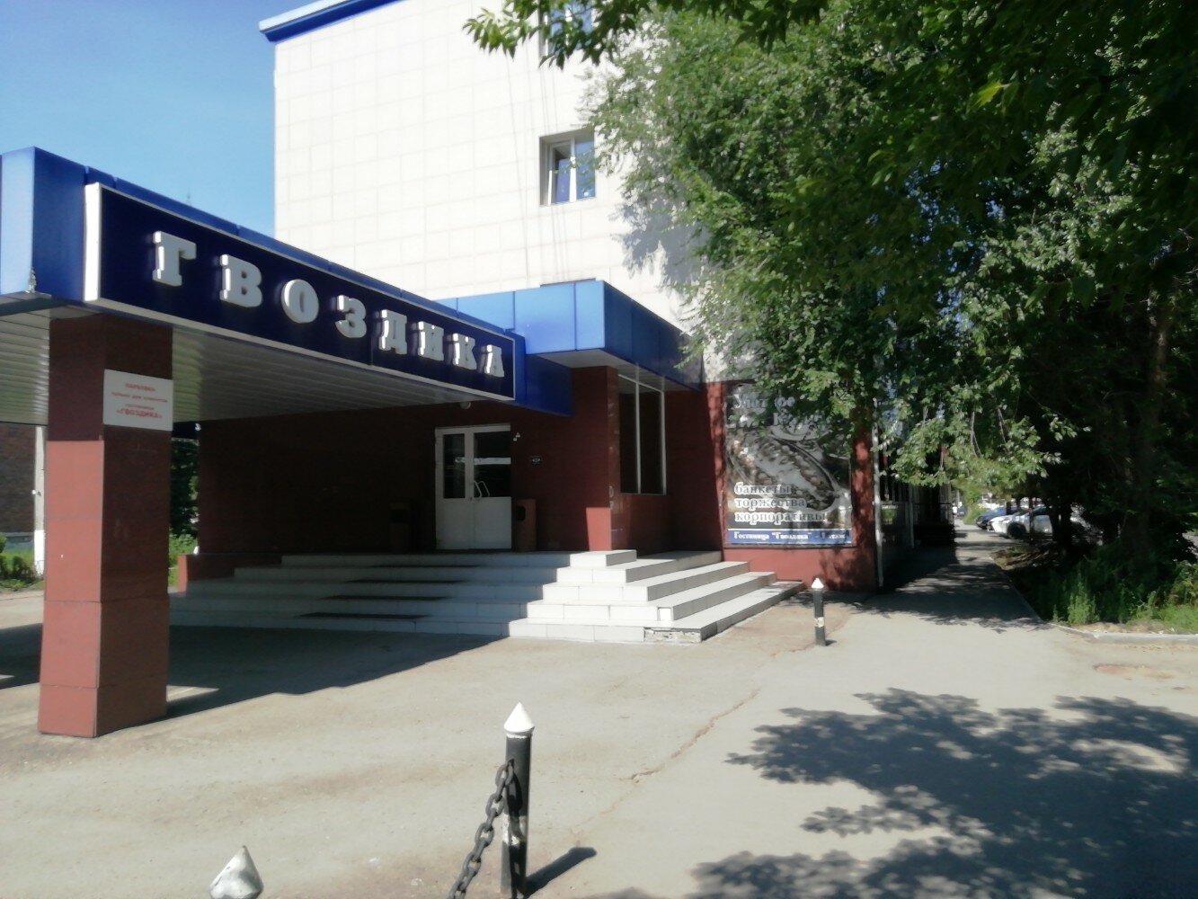 Фото Гвоздика