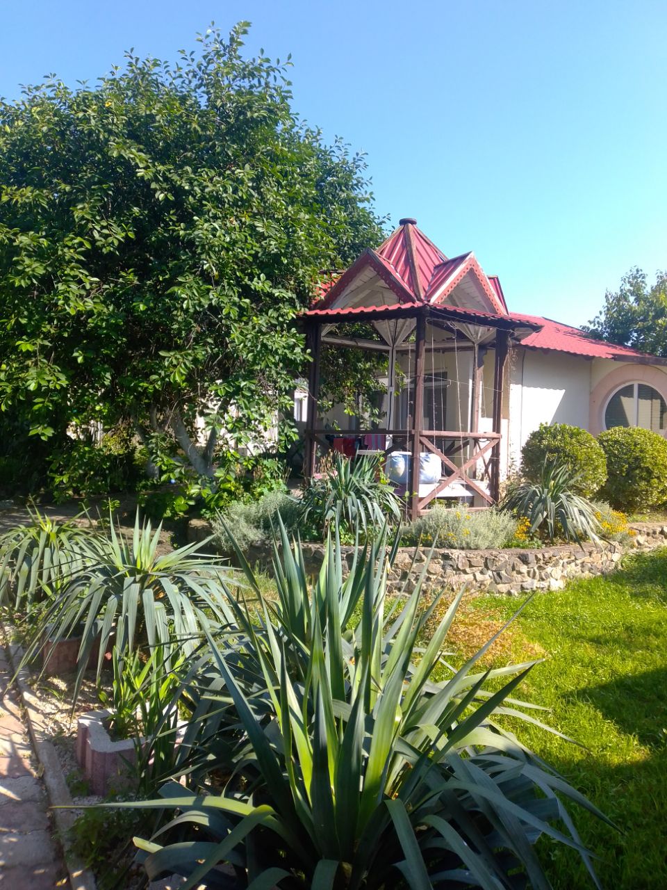 Фото Ройтош