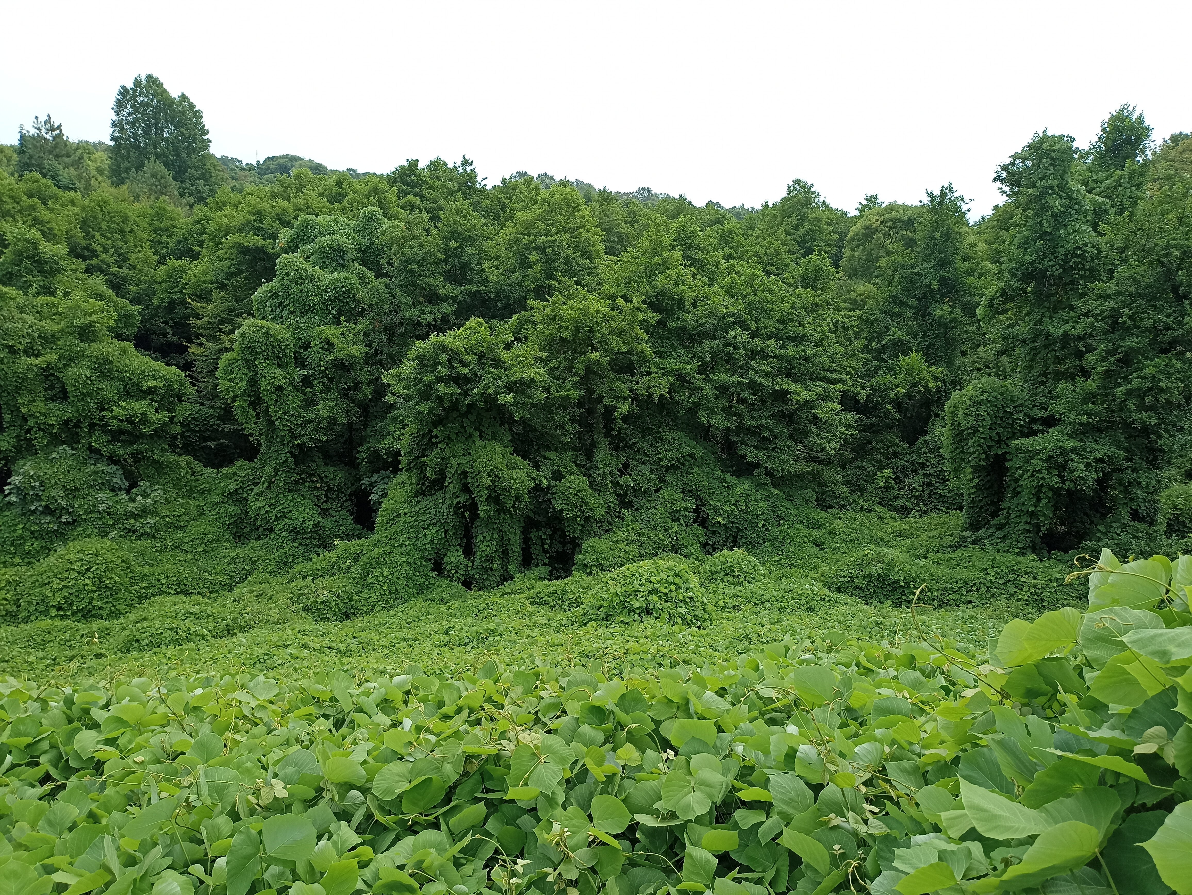 Фото Заповедник